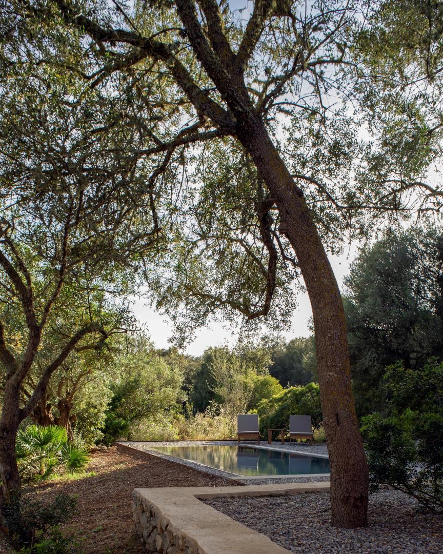Es Racó d'Artà, Balearic Islands, Spain — Reflective pool bordered by ancient olive trees and modernist pavilions in Mediterranean landscape garden.