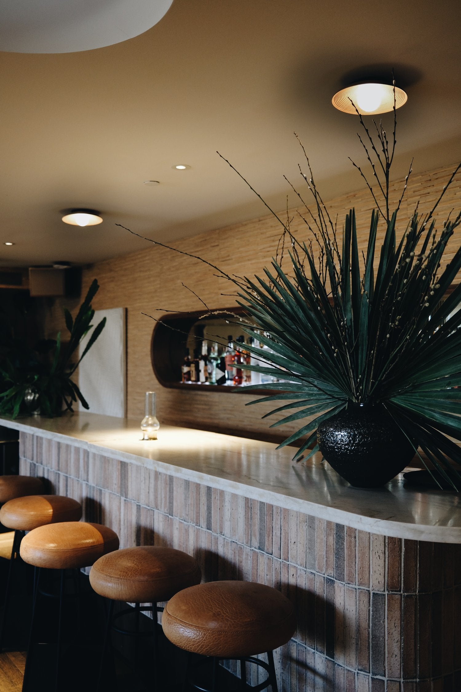 Santa Monica Proper, North America — Curved wooden bar with leather stools, dark potted plant, pendant lighting, and stone countertop in contemporary hospitality lounge.
