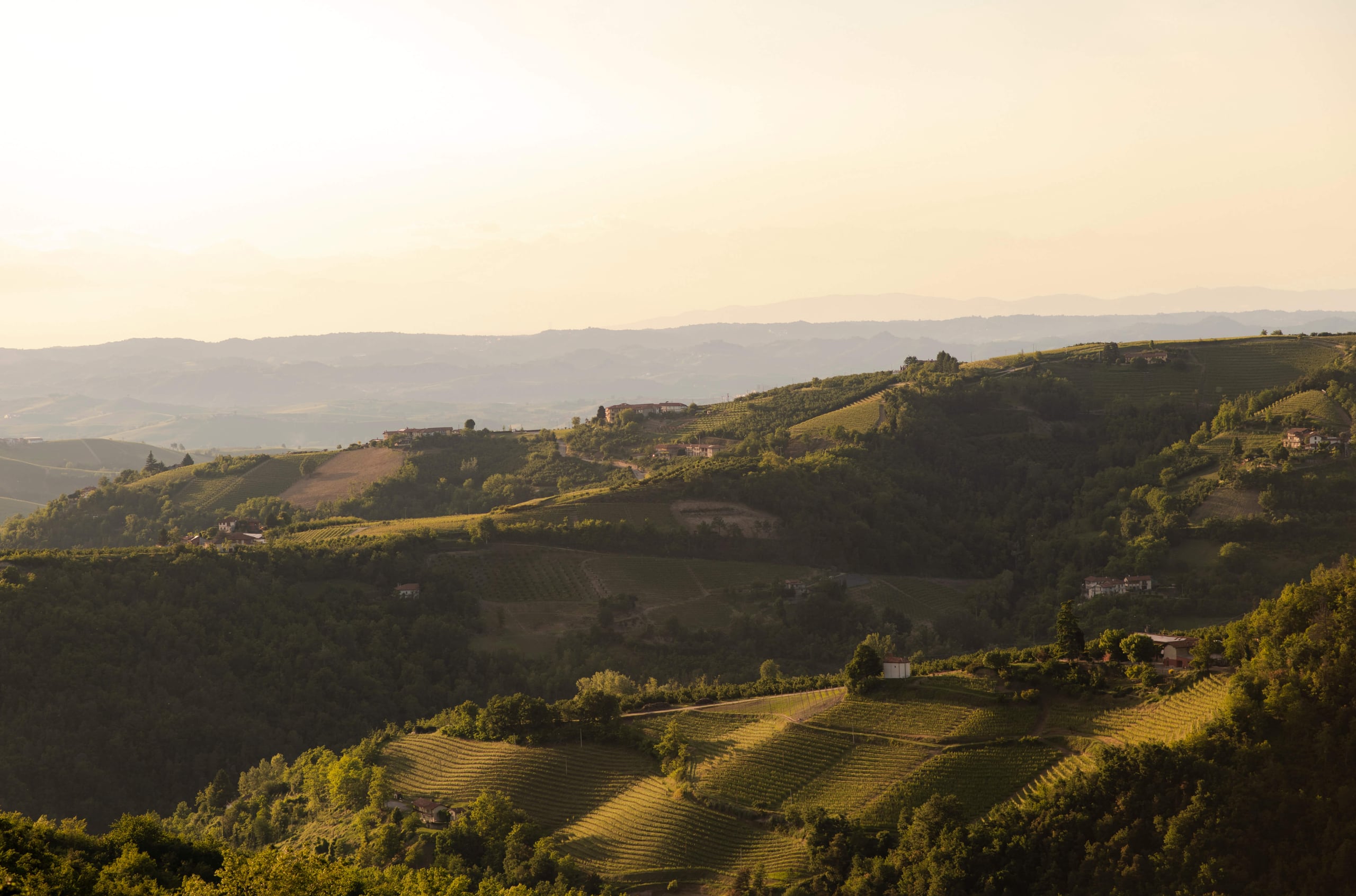 Casa di Langa, Italy — Rolling vineyards and forested hills at golden hour with scattered farmhouses across Piedmont countryside landscape
