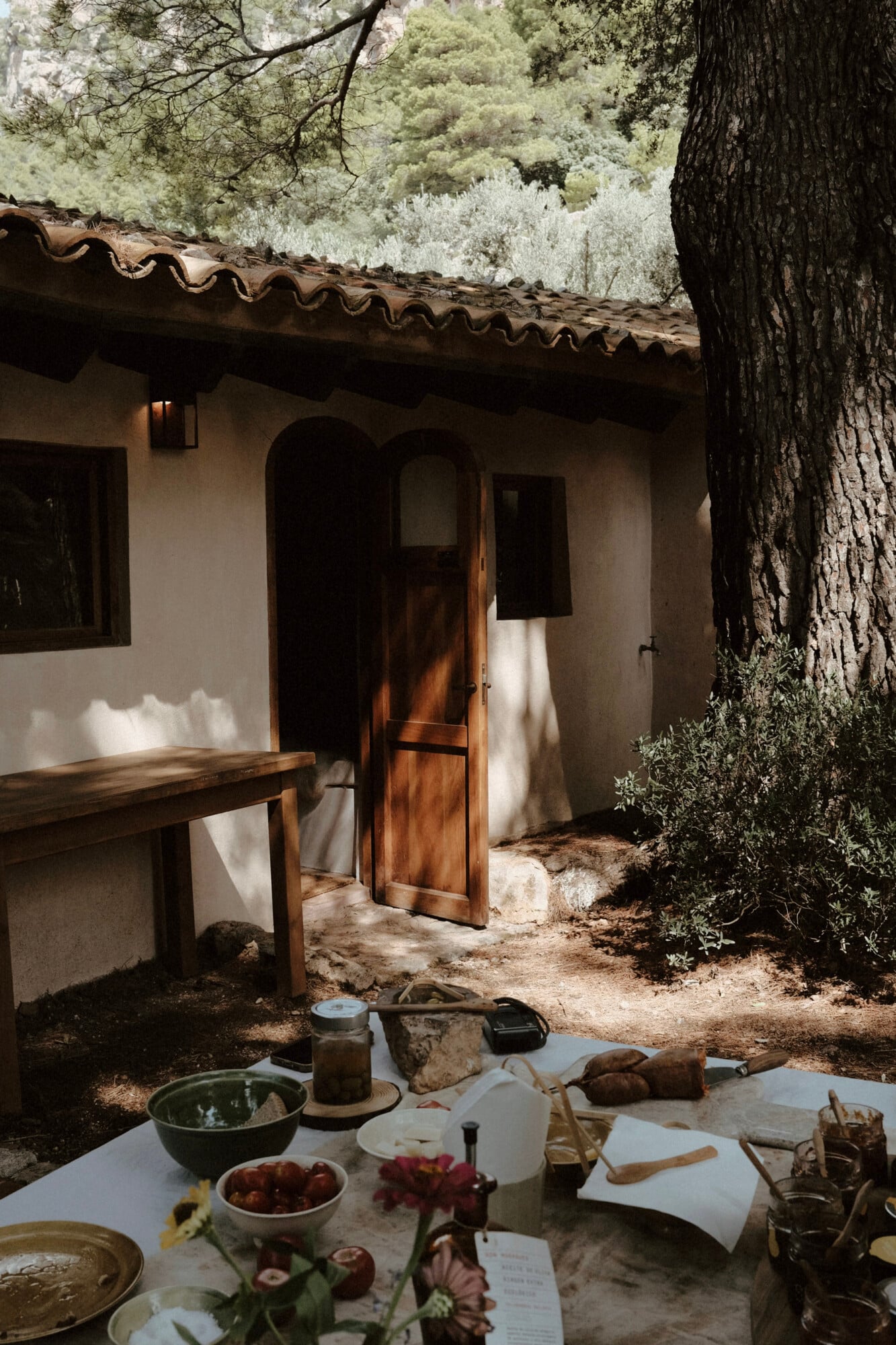 SONMO farm, Balearic Islands — Rustic whitewashed cottage with terracotta roof, wooden door, sun-dappled outdoor dining setup beneath ancient olive tree, Mediterranean landscape.
