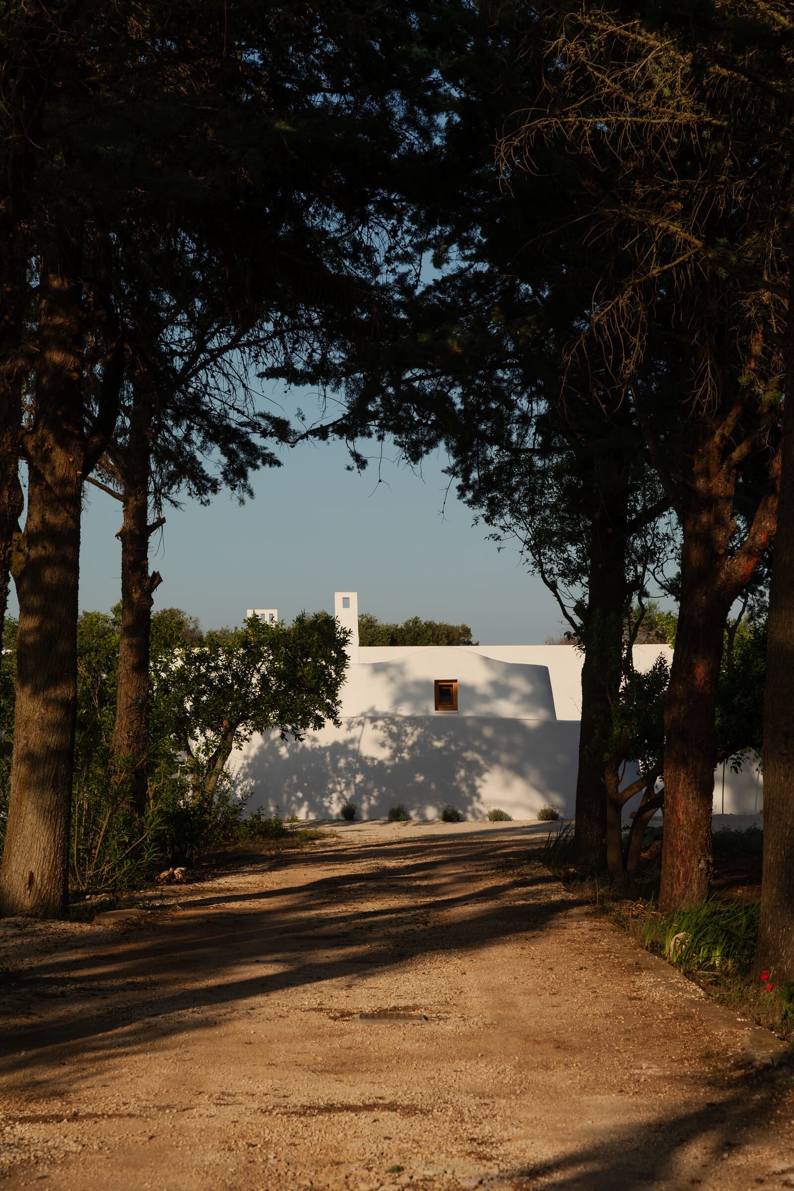 Casanguilla, Europe — White modernist villa framed by mature trees casting dappled shadows on ochre earth driveway at golden hour.