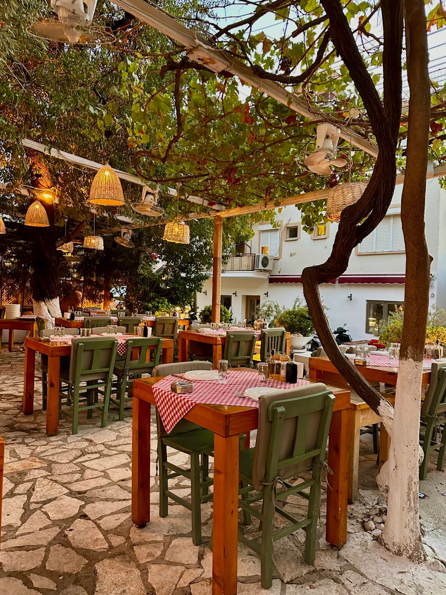 Demeti Kaş, Asia — Candlelit courtyard with wooden tables, green chairs, checkered tablecloths beneath grapevine pergola and ancient twisted tree.