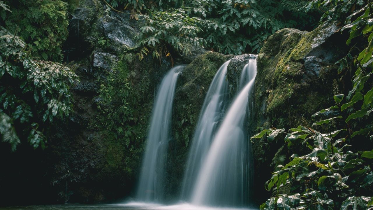 Island of São Miguel — Tiered waterfall cascading through moss-covered volcanic rock surrounded by lush tropical ferns and verdant canopy, São Miguel, Azores.