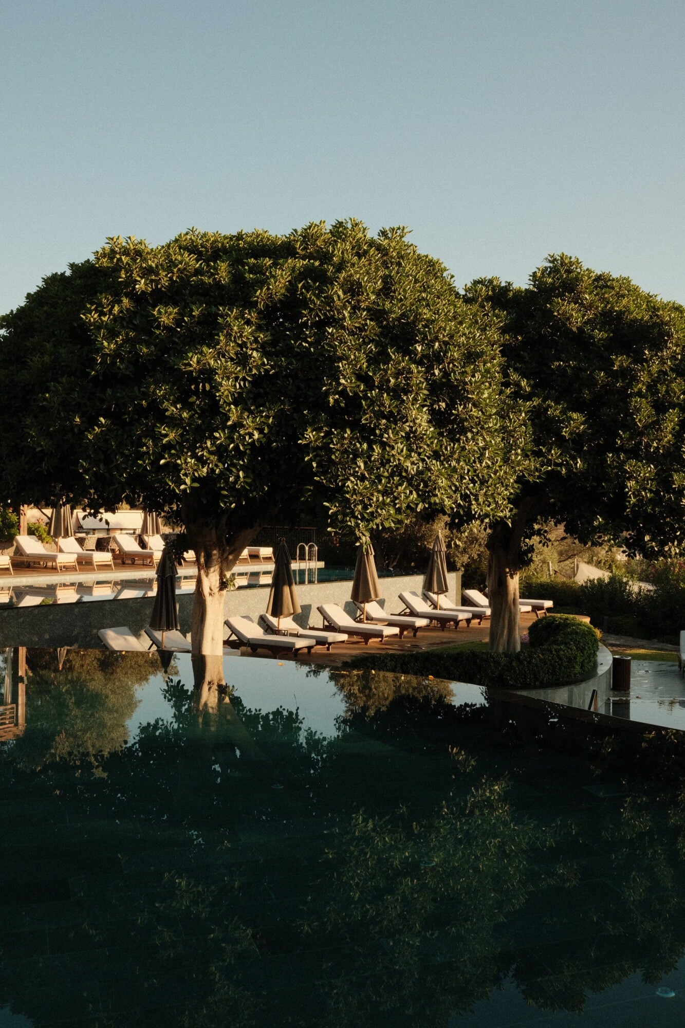 Mandarin Oriental Bodrum, Bodrum, Turkey — Sunlit poolside lounge with linen umbrellas, wooden daybeds, and mature trees reflected in still water at golden hour.