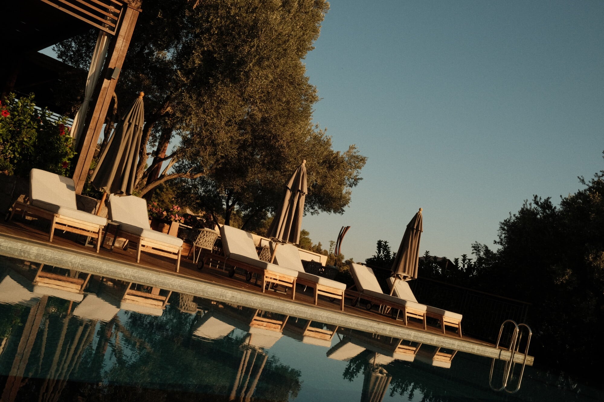 Mandarin Oriental Bodrum, Turkey — Poolside lounge with cream sunbeds, taupe umbrellas, and olive trees under golden hour light.