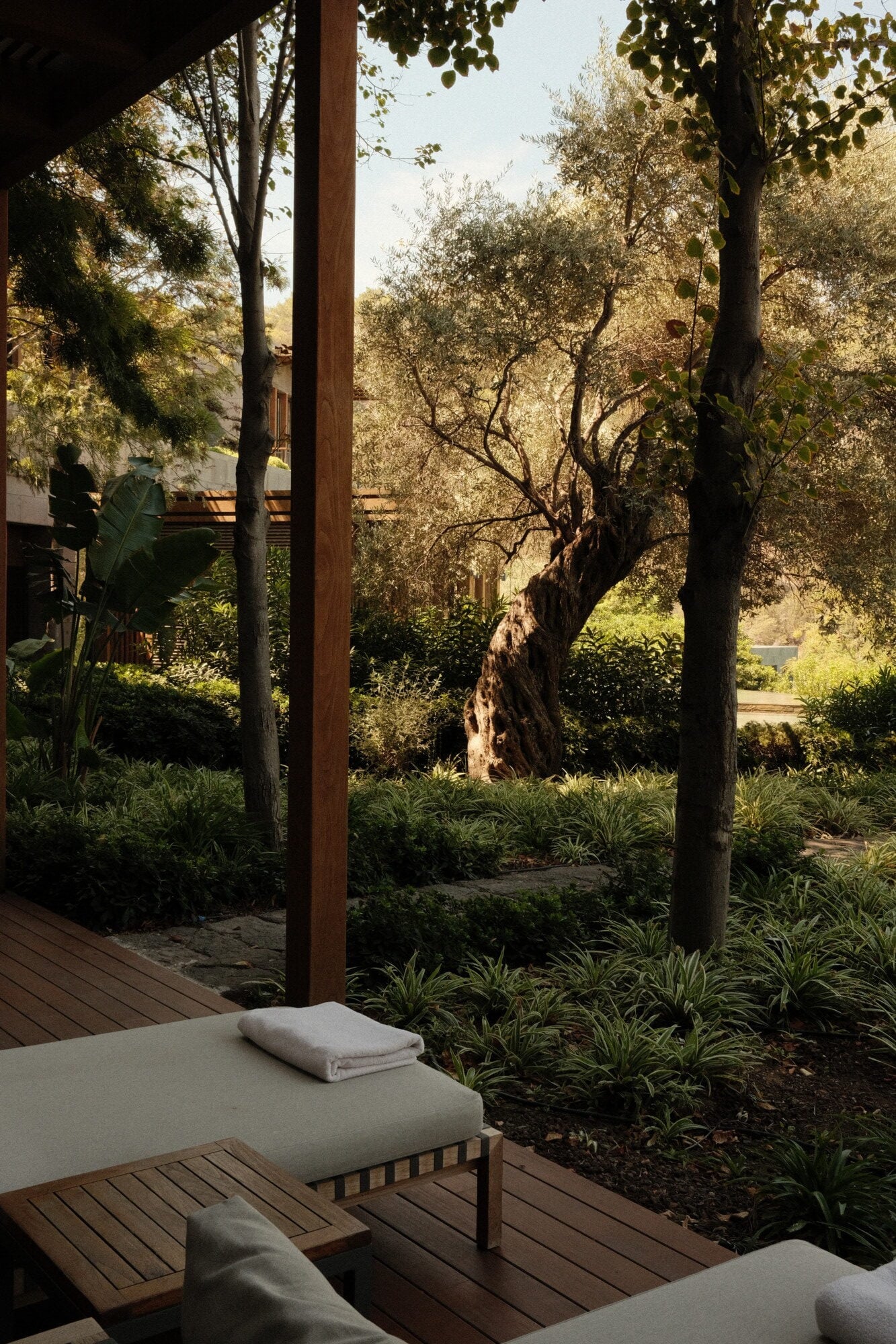 Mandarin Oriental Bodrum, Turkey — wooden lounge chairs on deck overlooking olive trees and Mediterranean garden with dappled sunlight through pergola.