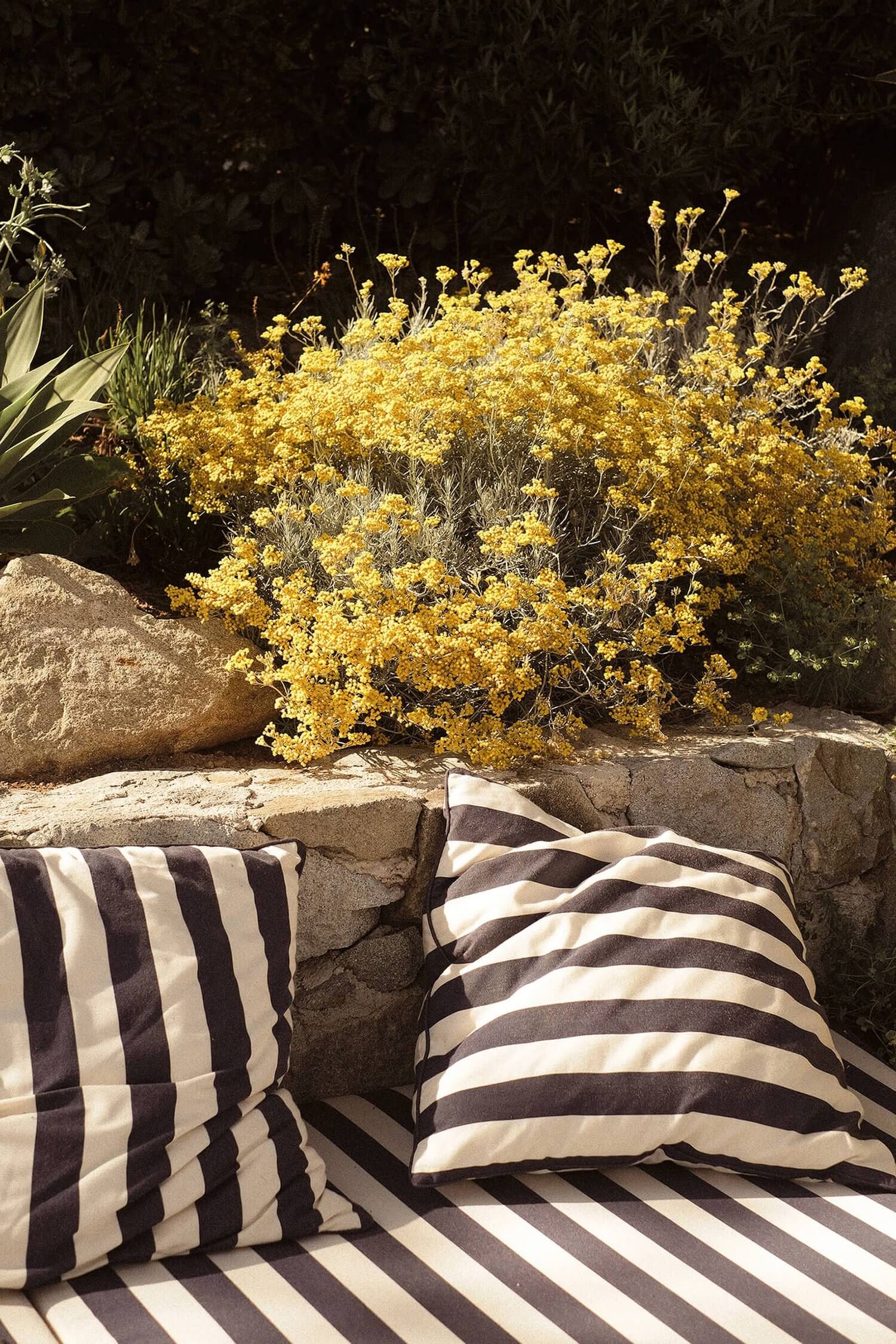 Les Roches Rouges, Europe — Striped linen pillows on stone bench beside vibrant yellow wildflowers and desert plants in sunlit garden.