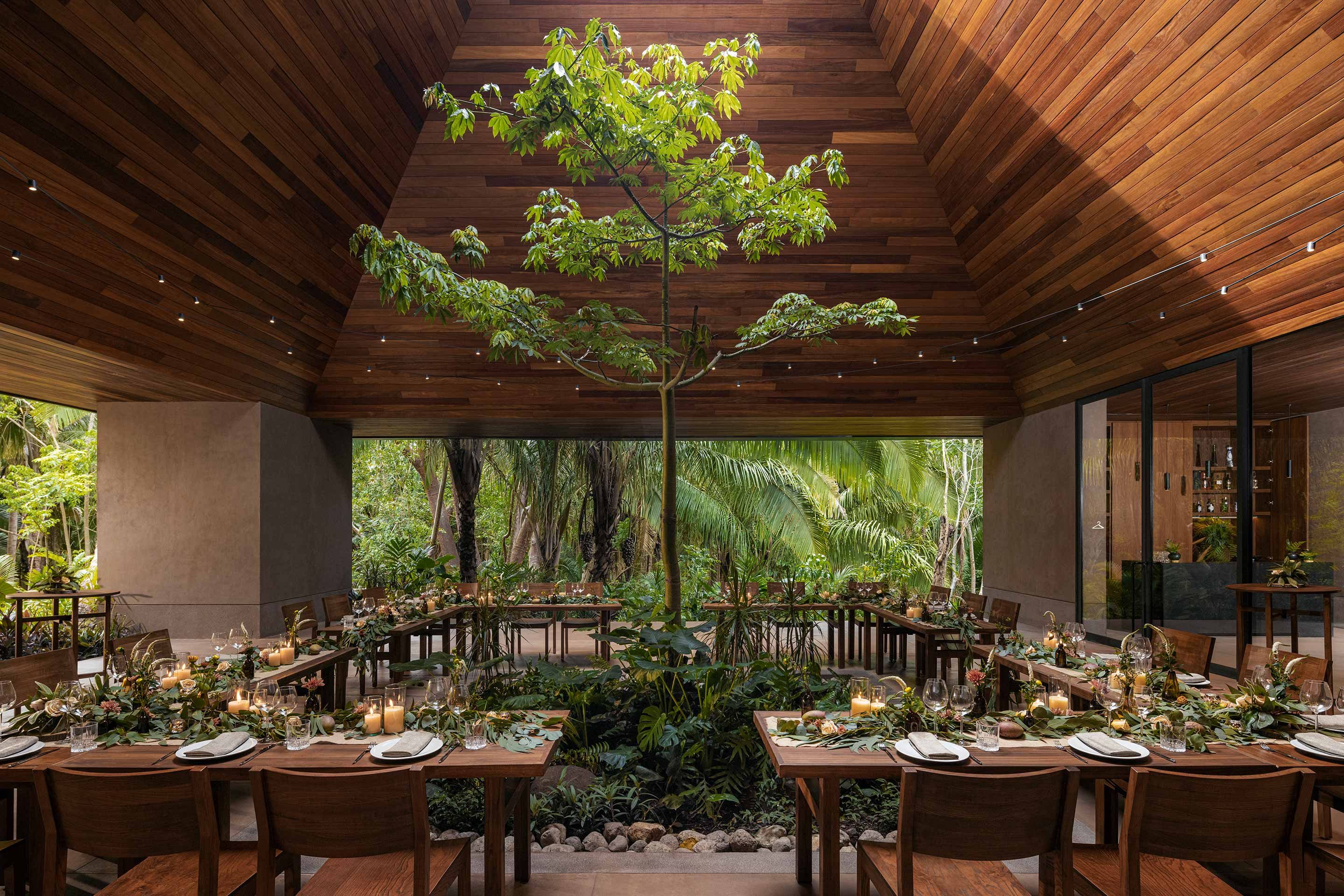 One&Only Mandarina, Mexico — Candlelit dining pavilion with soaring wood ceiling, live tree centerpiece, and jungle views through floor-to-ceiling windows.