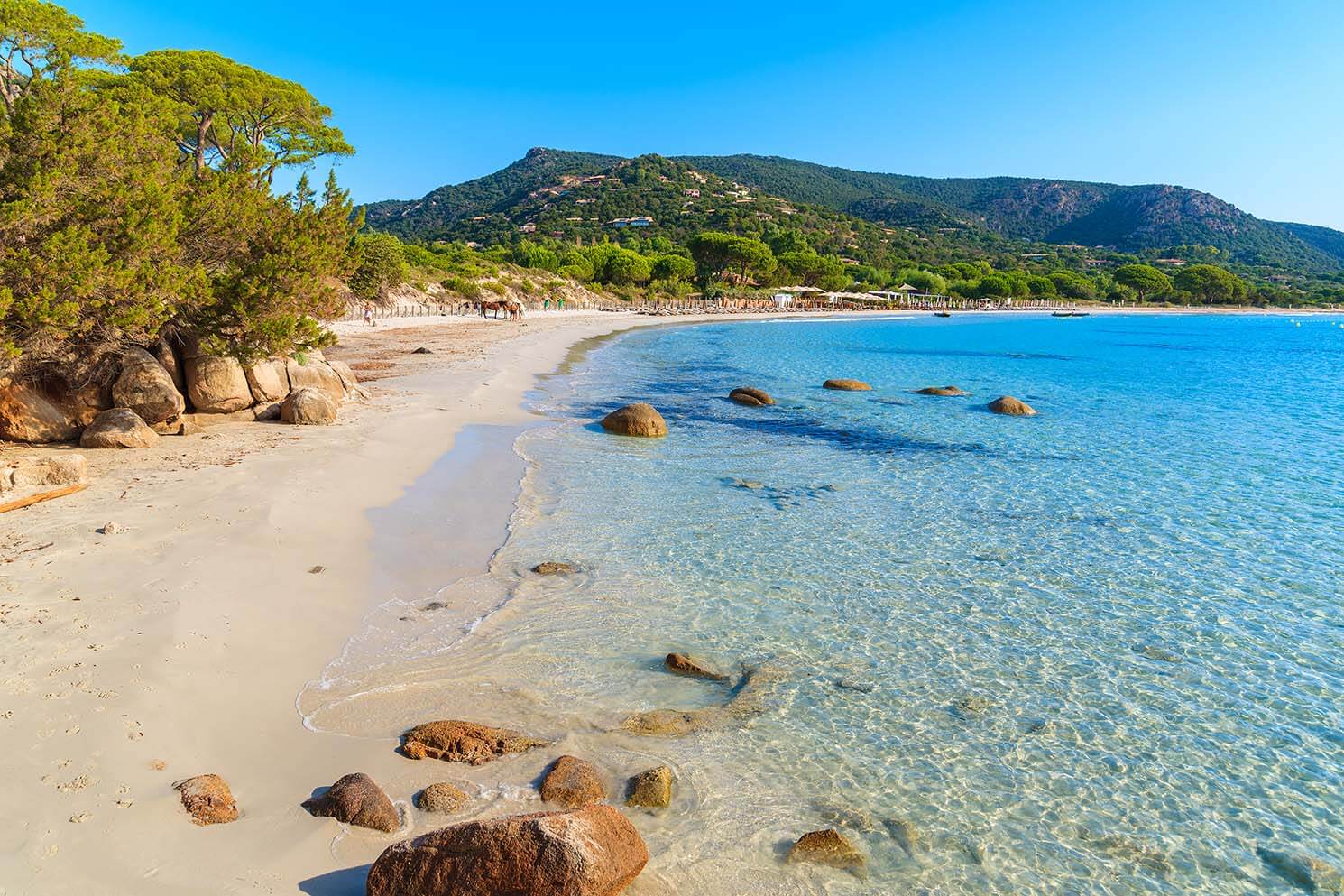 Porto Vecchio, Europe — Crystalline Mediterranean cove with pale sand, granite boulders, pine-forested mountainside, and umbrella pines under clear blue sky.