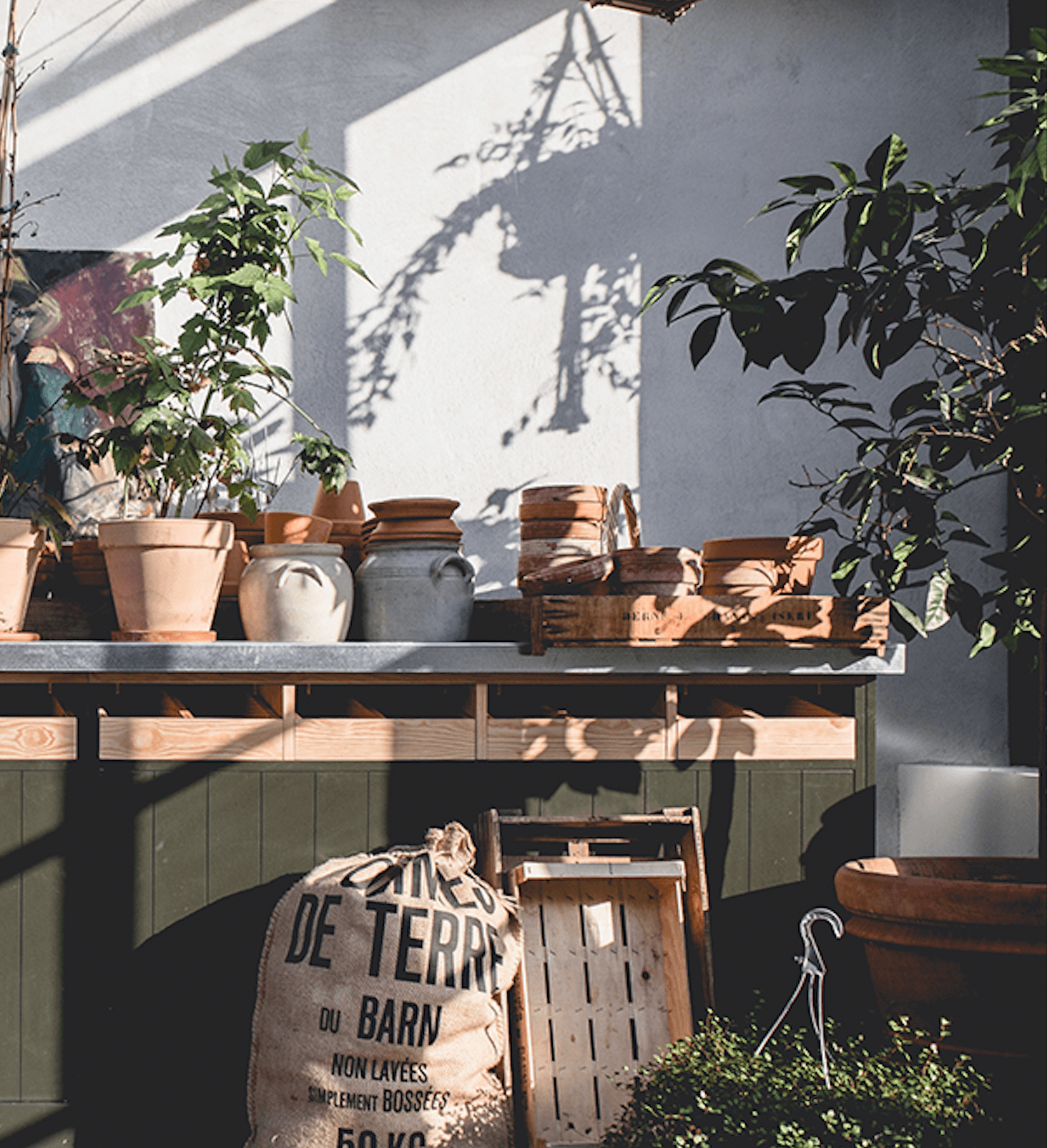 Le Barn, Europe — Potted plants and terracotta vessels on wooden shelf casting shadows against white wall, minimalist hospitality interior design.