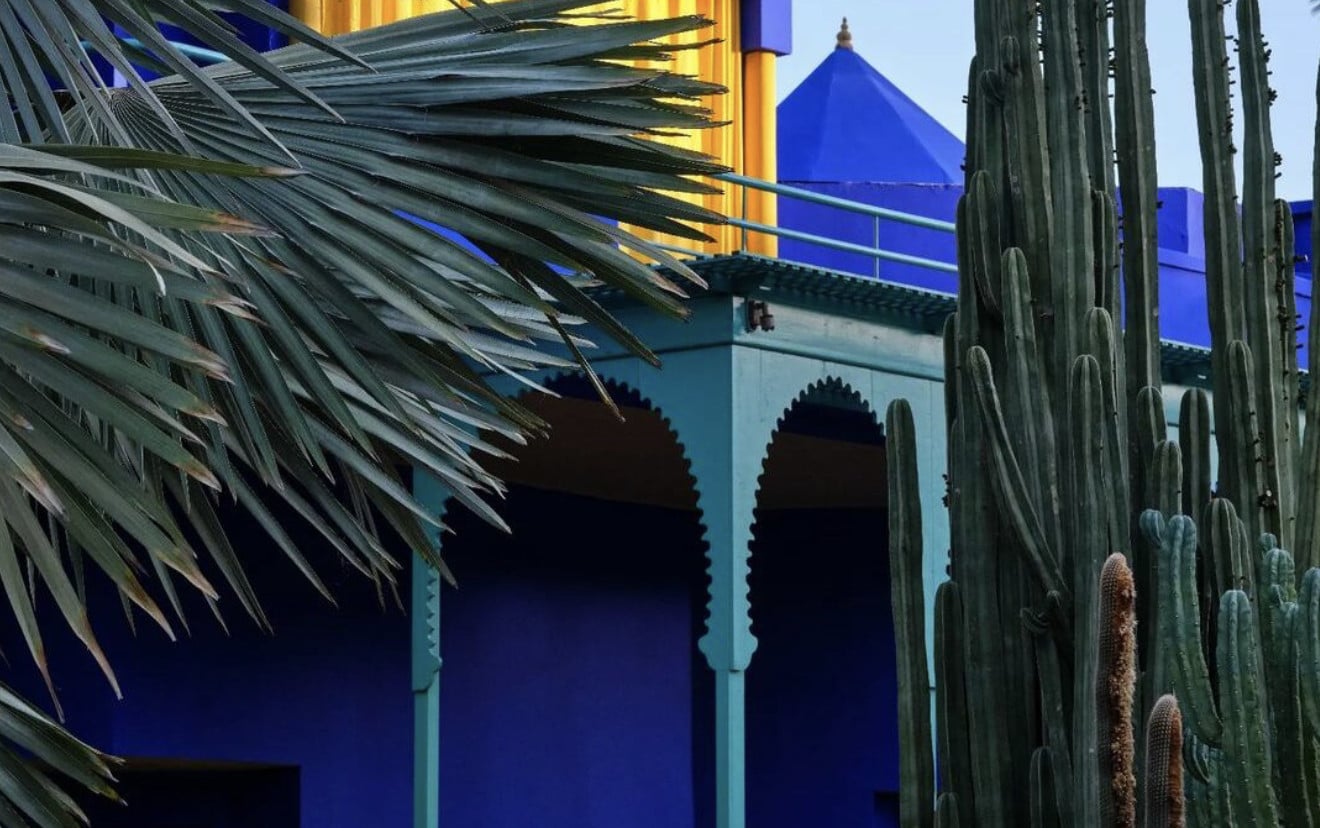 Jardin Majorelle, Marrakech, Morocco — Cobalt blue Moroccan architecture with arched doorways, towering green cacti, and palm fronds in golden light.