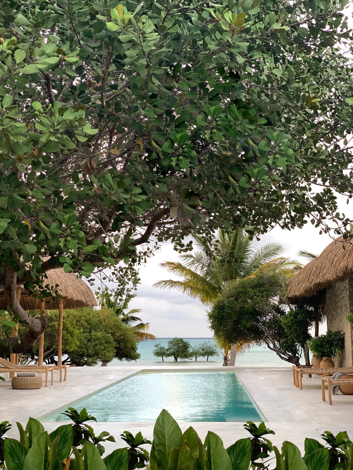 Sussurro, Africa — Infinity pool framed by mature trees with thatched pavilions and turquoise ocean beyond, minimalist coastal luxury design.