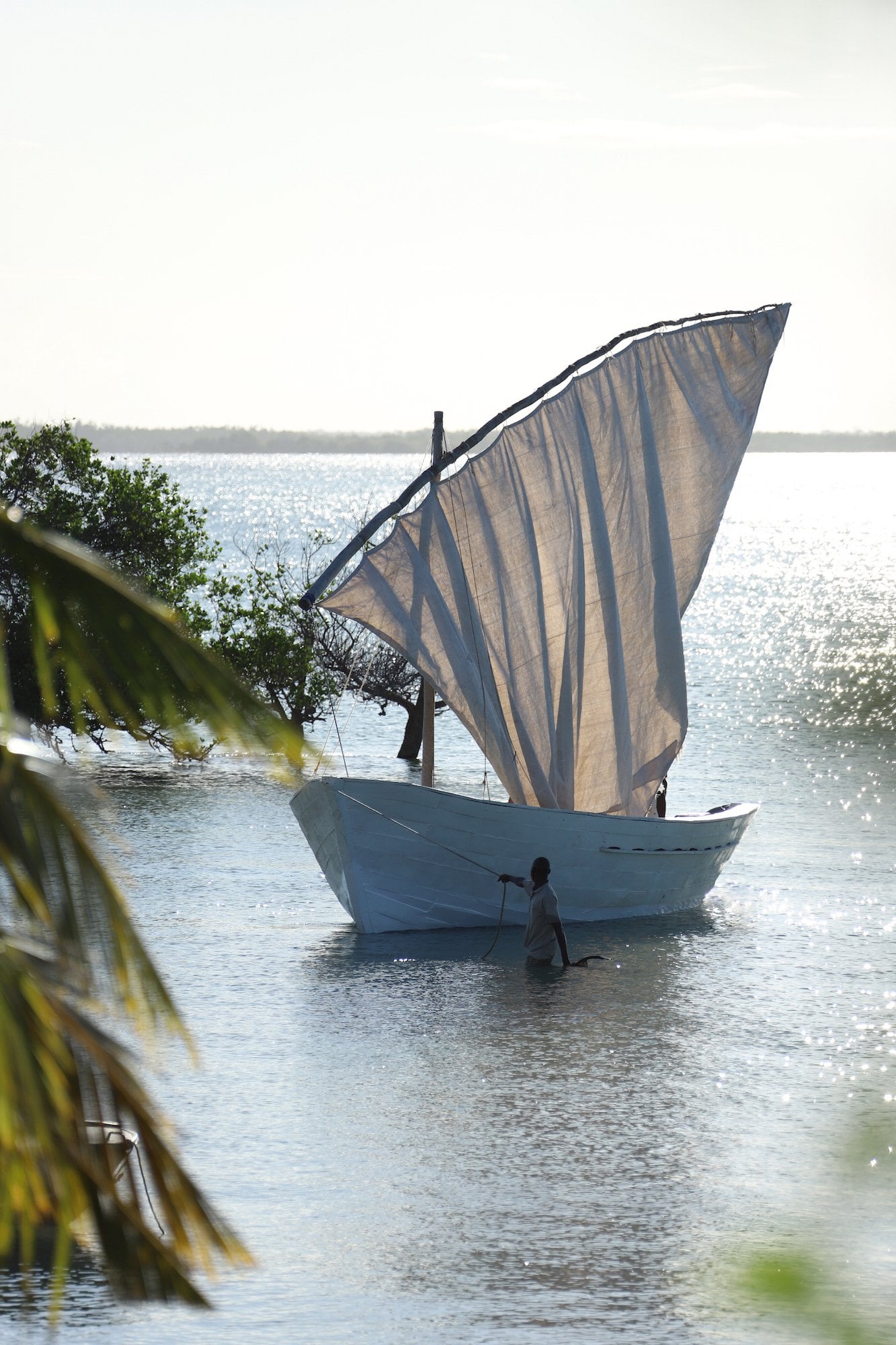 Sussurro, Africa — White wooden dhow with raised sail moored in shallow turquoise water, framed by palm fronds, morning light across lagoon.