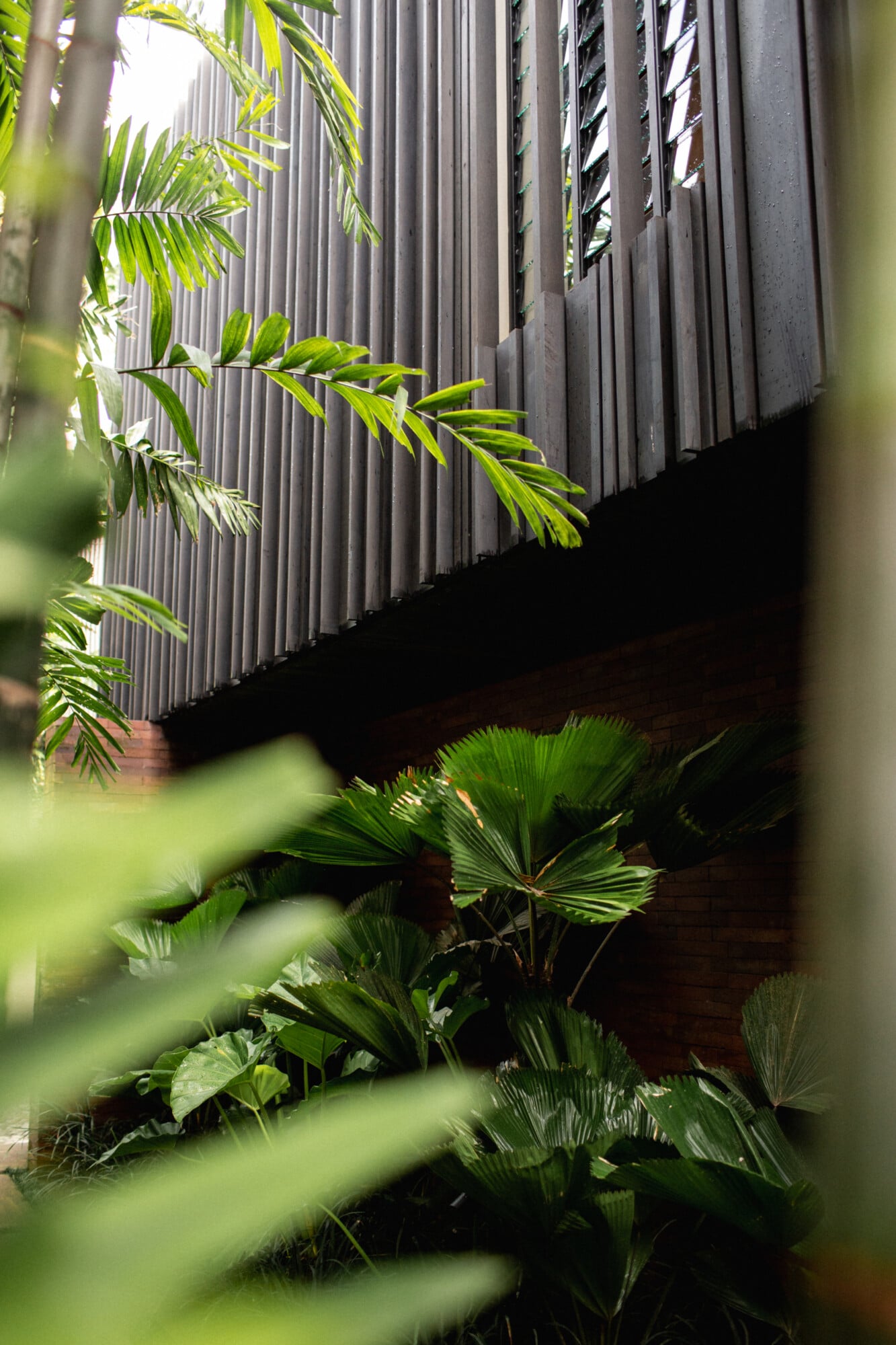 Tegel House, Asia-Pacific — Tropical foliage framing corrugated metal architecture with brick base and natural light filtering through palm fronds.