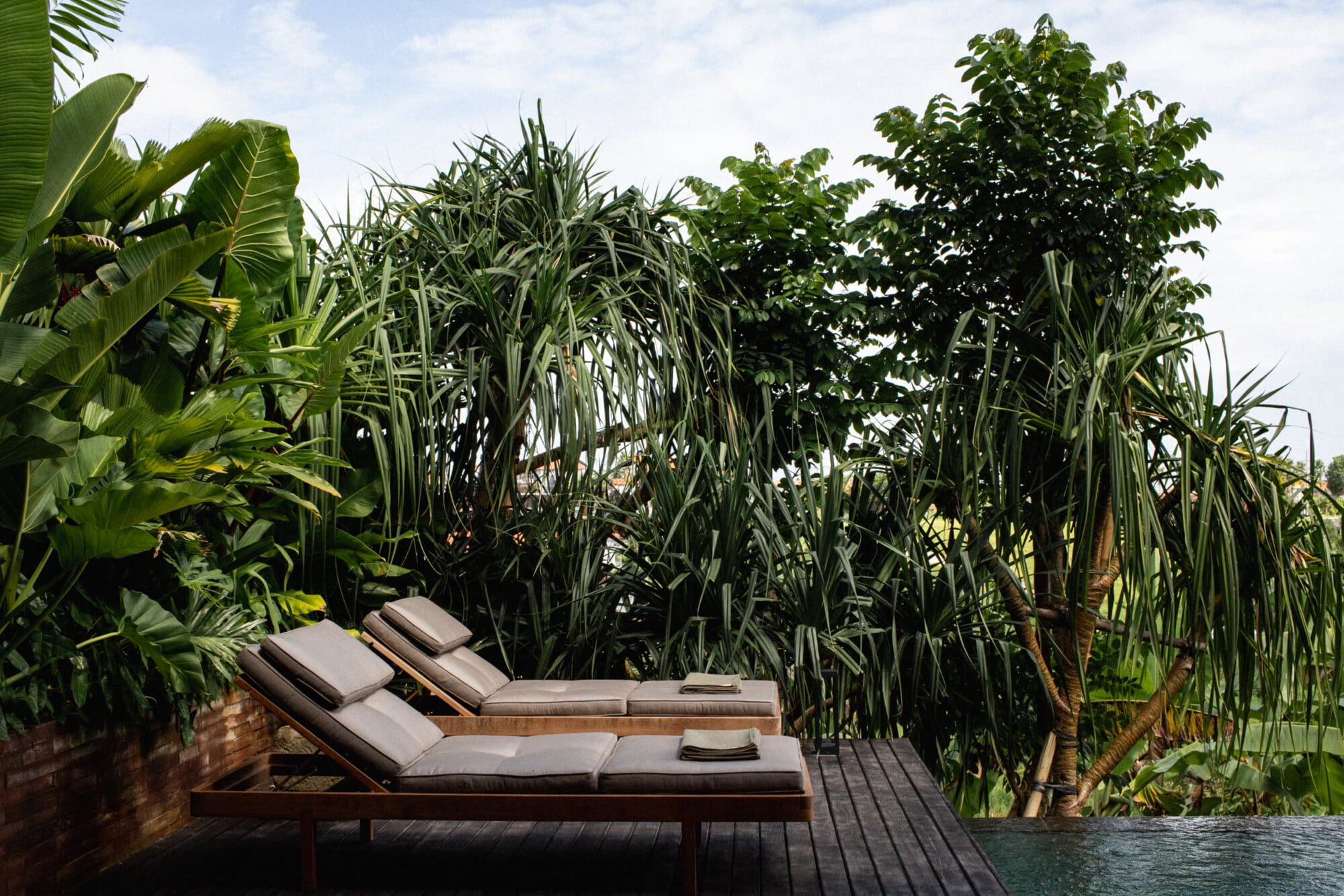 Tegel House, Asia-Pacific — Teak lounge beds with gray cushions on dark wood deck beside still water, framed by lush tropical palms and flowering trees under bright daylight.