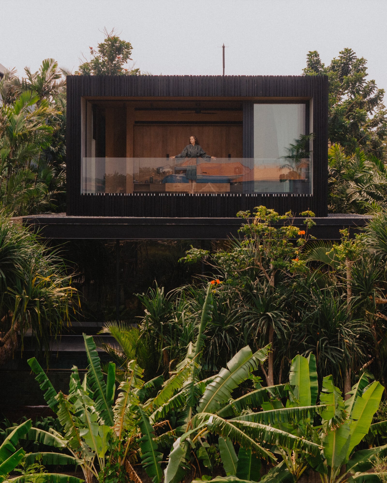 Tegel House, Asia-Pacific — Black corrugated steel pavilion with expansive window framing interior workspace, surrounded by lush tropical palms and banana plants.