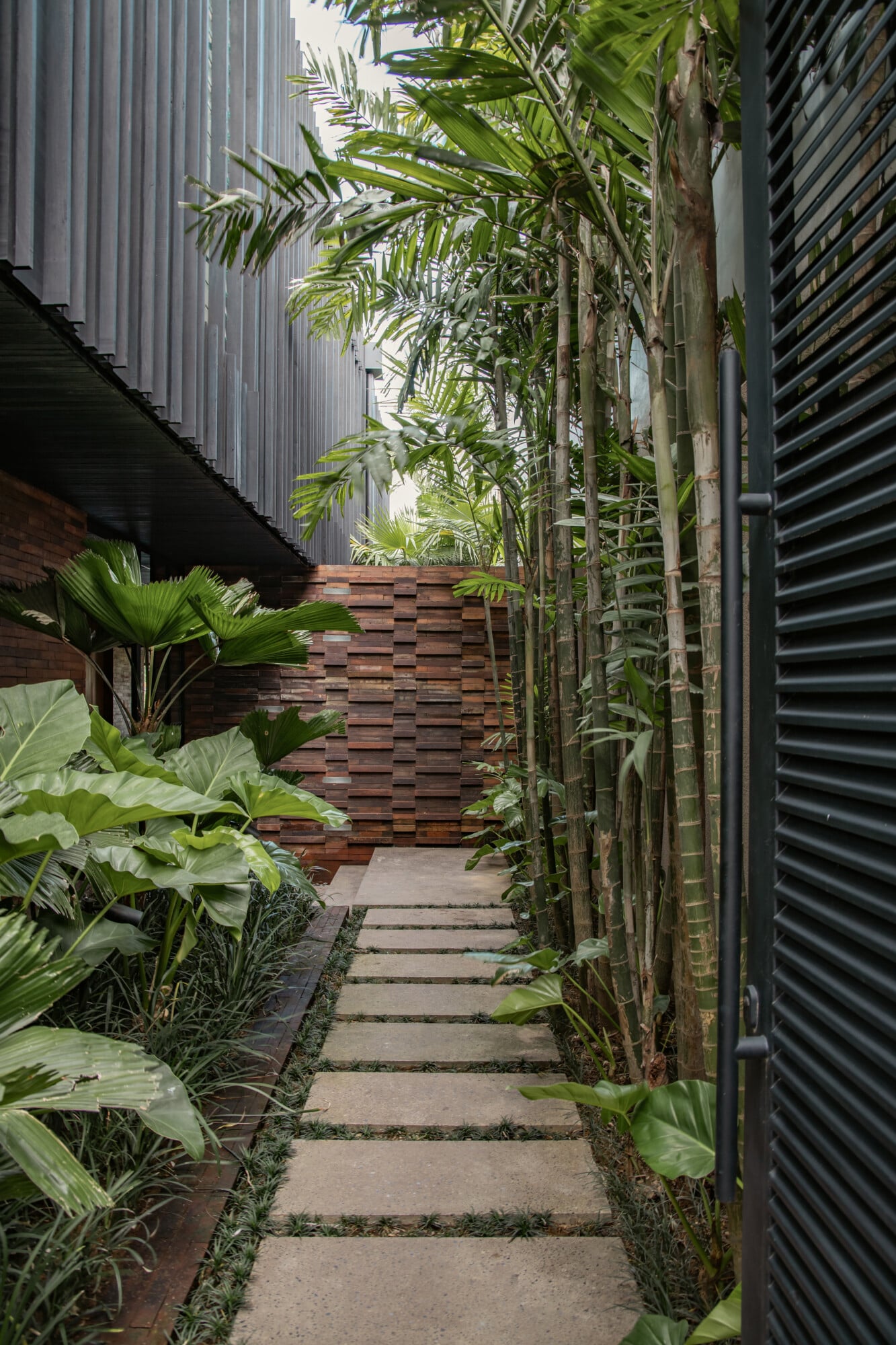 Tegel House, Asia-Pacific — Narrow courtyard passage with stepping stone pathway, lush tropical palms, corrugated metal siding, and wooden slat wall detail.