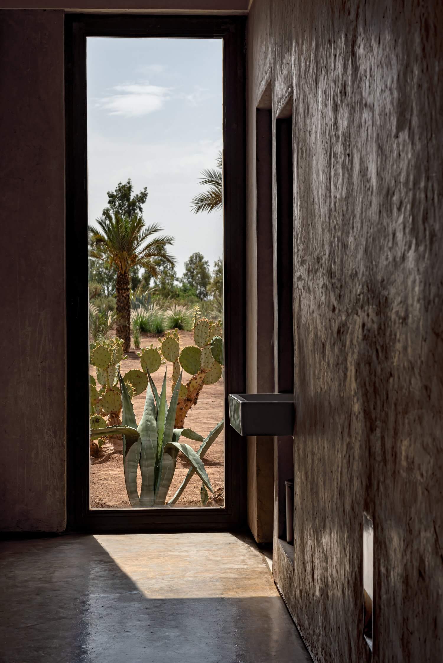 Villa D, Africa — Desert landscape framed through minimalist concrete doorway with prickly pear cactus, palm trees, and arid terrain bathed in natural light.