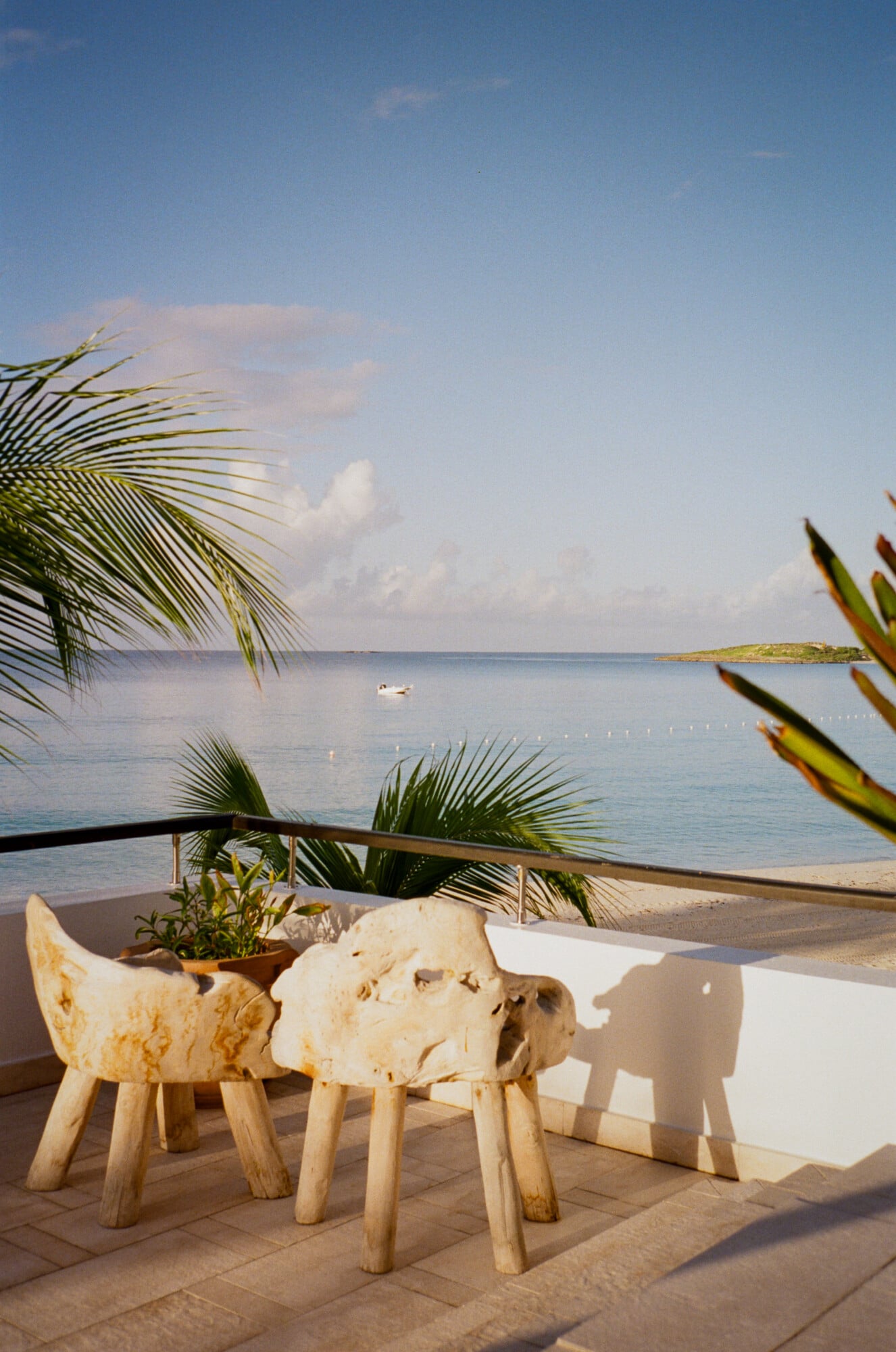 Cap Juluca, North America — Driftwood chairs and potted plants on terrace overlooking calm turquoise bay with palm fronds, minimalist coastal luxury design.