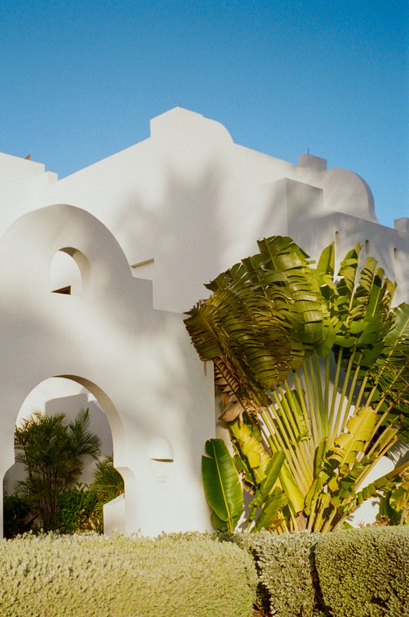 Cap Juluca, Anguilla — Whitewashed curved architecture with arched openings, tropical palm fronds, clear sky, minimalist Mediterranean design.