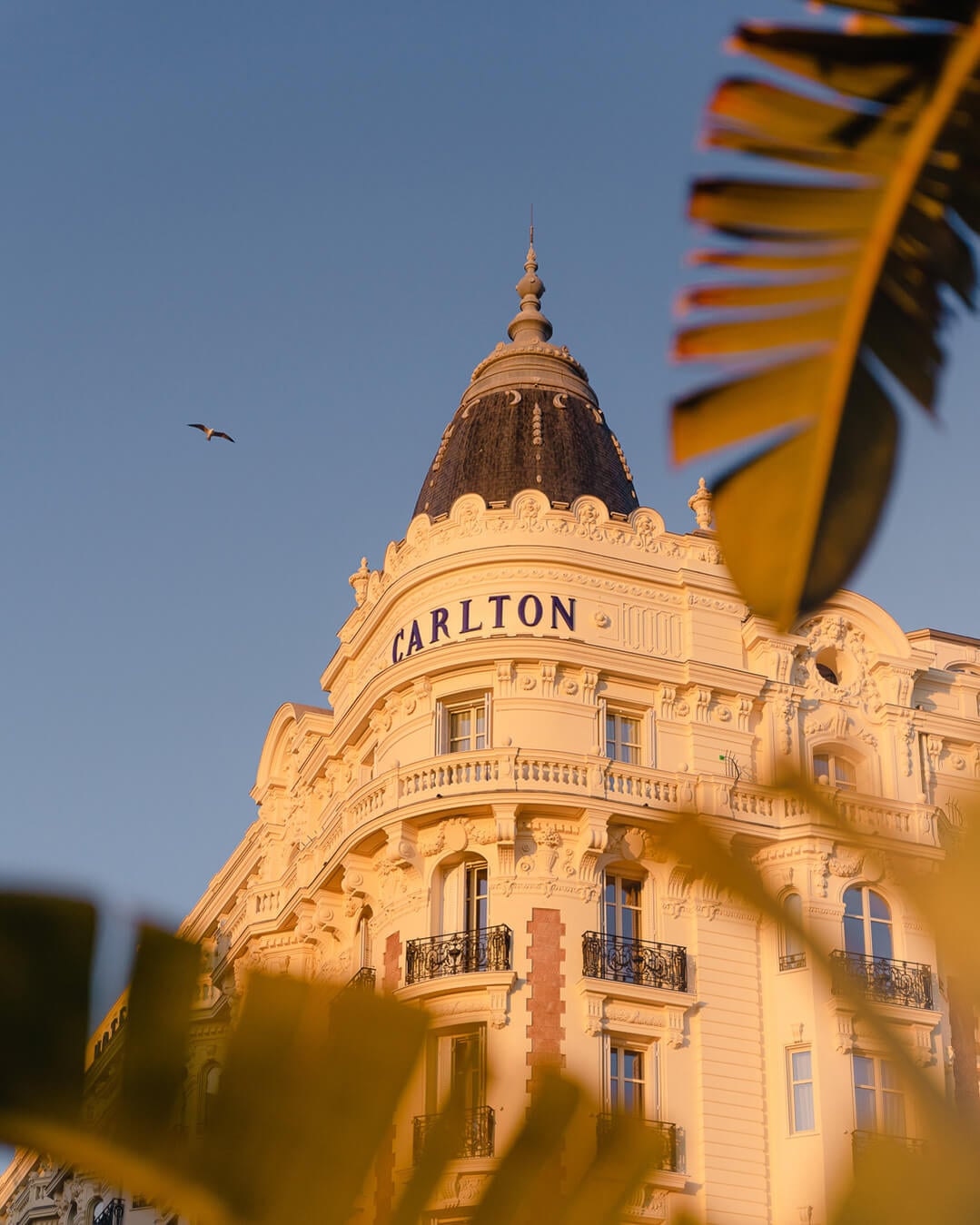Carlton Cannes, Cannes, France — Belle Époque palace facade with mansard roof and ornate stonework in golden hour light, framed by yellow parasol.