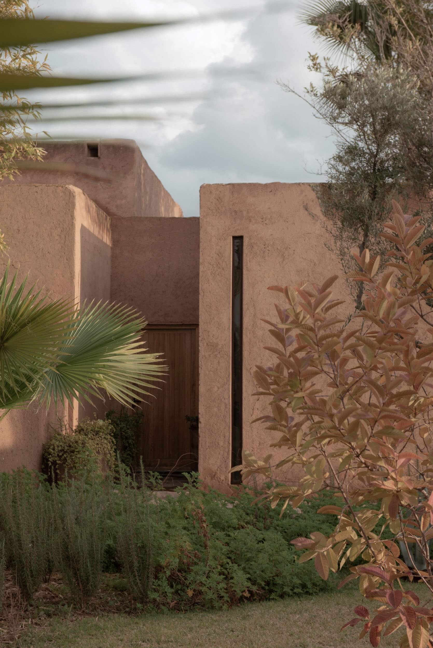Villa D, Africa — Terracotta adobe walls with narrow wooden door, desert landscaping with palm and olive trees, minimalist modernist architecture under clouded sky.