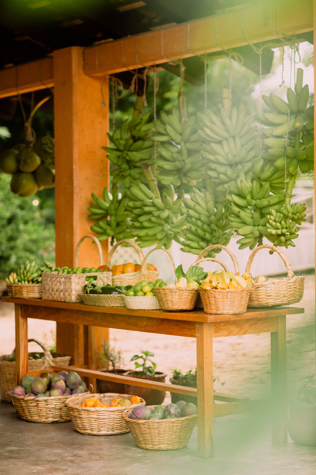 Cuixmala Farm, Mexico — Wooden market stall with hanging banana bunches, woven baskets of tropical fruits, and orange-tinted awning in dappled sunlight.