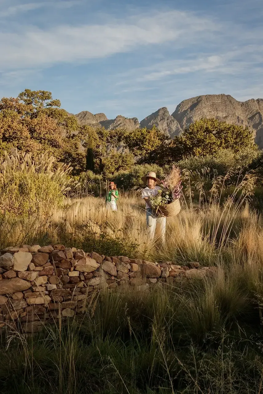 Sterrekopje, Africa — Two guests walking through native grassland with mountains beyond, stone wall in foreground, golden hour light filtering through indigenous trees.