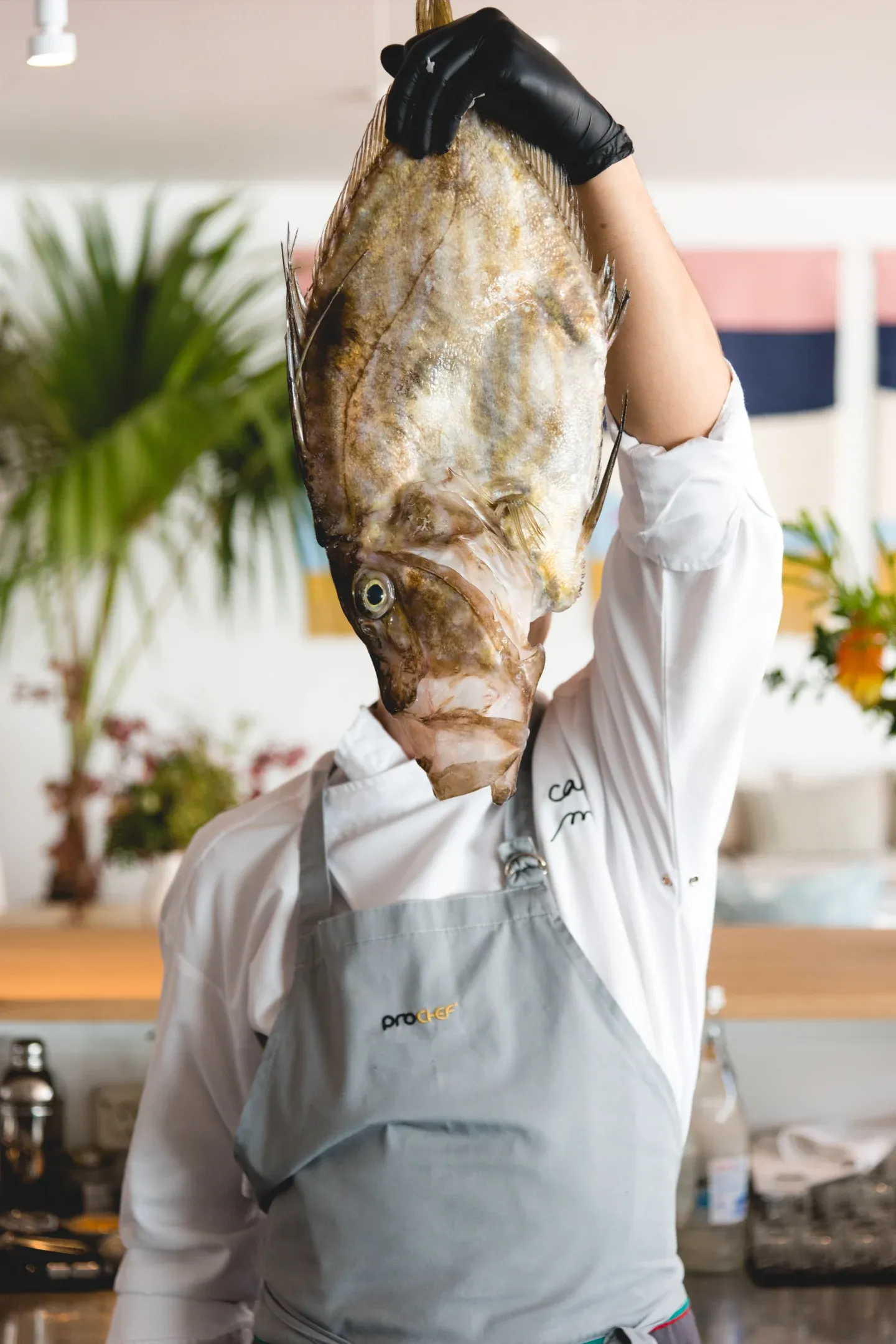 Casa Mãe, Europe — Chef in white apron holding fresh-caught fish in modern kitchen with natural light and tropical plants.