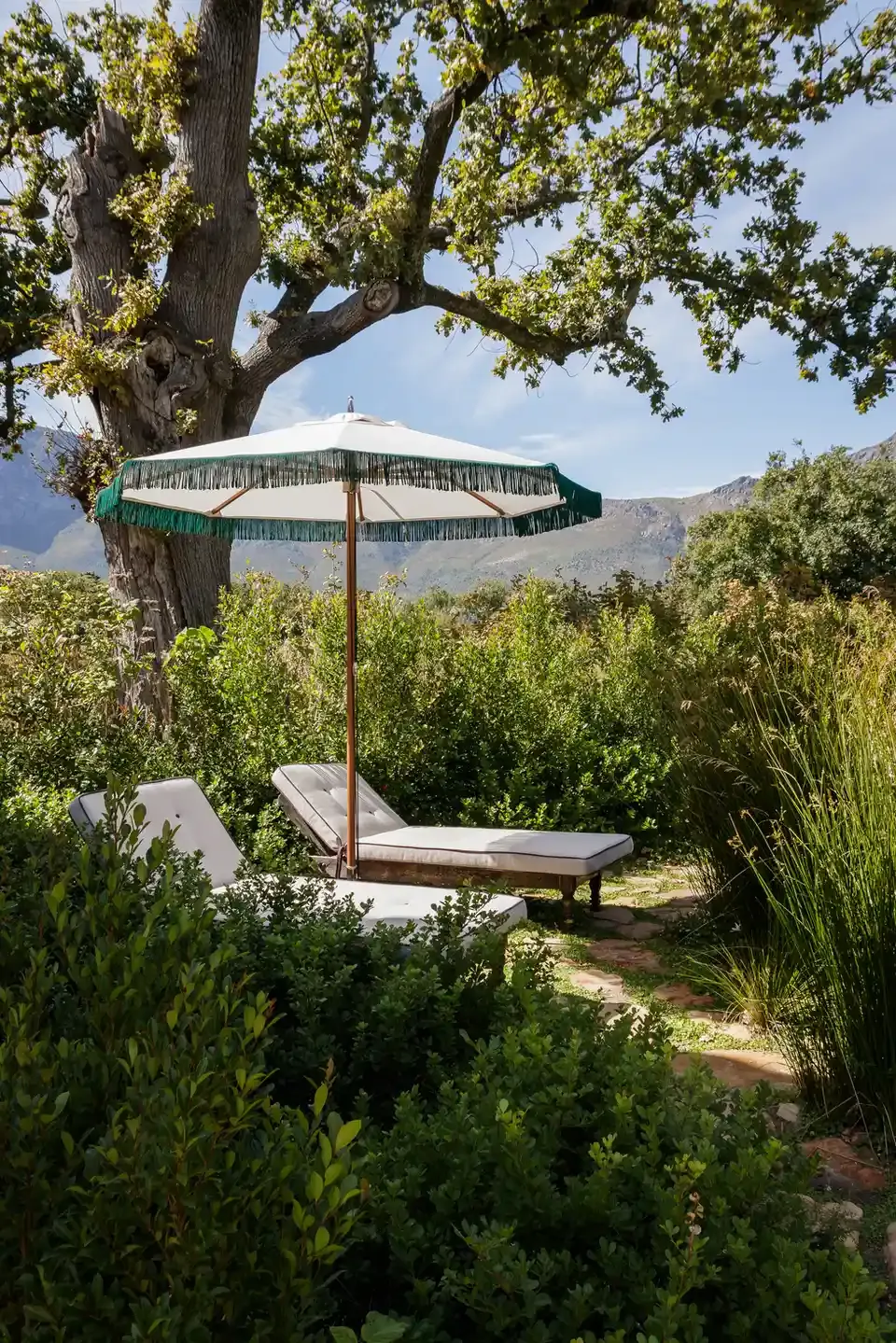 Sterrekopje, Africa — Cream umbrella with green fringe suspended over cushioned daybed beneath ancient oak tree, mountain vista beyond lush gardens.