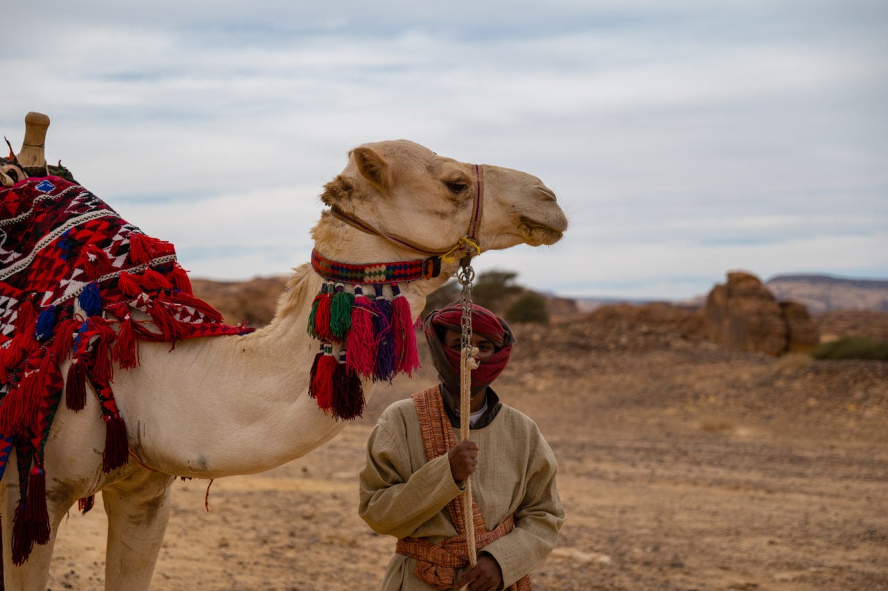Camel Ride, All Destinations — Beige dromedary with red embroidered saddle blanket and decorative tassels led by handler in neutral linen across arid desert landscape under cloudy sky.