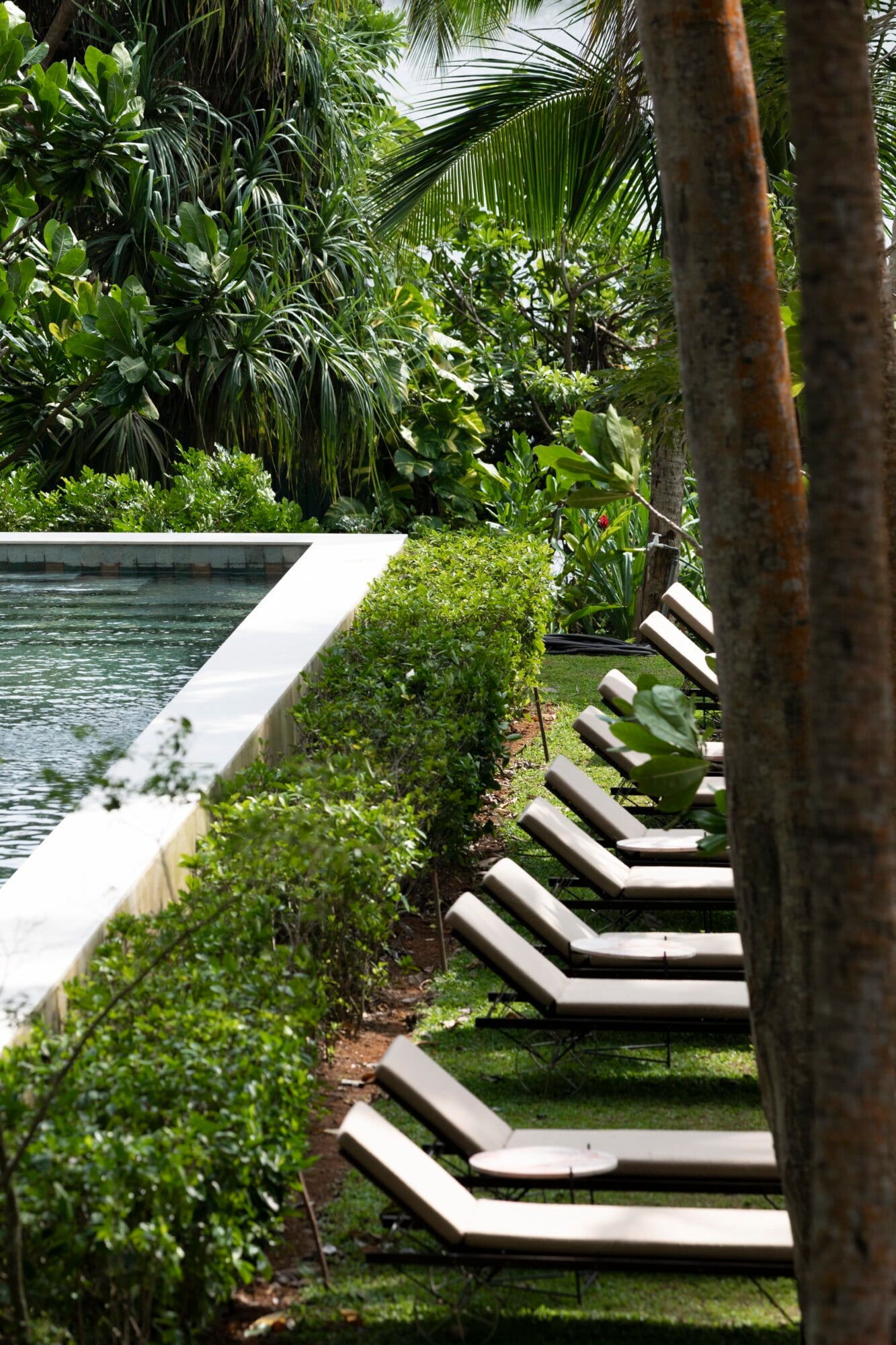 Kurulu Bay, Asia — White concrete loungers line a manicured lawn beside a pool, framed by tropical palms and lush vegetation in dappled sunlight.
