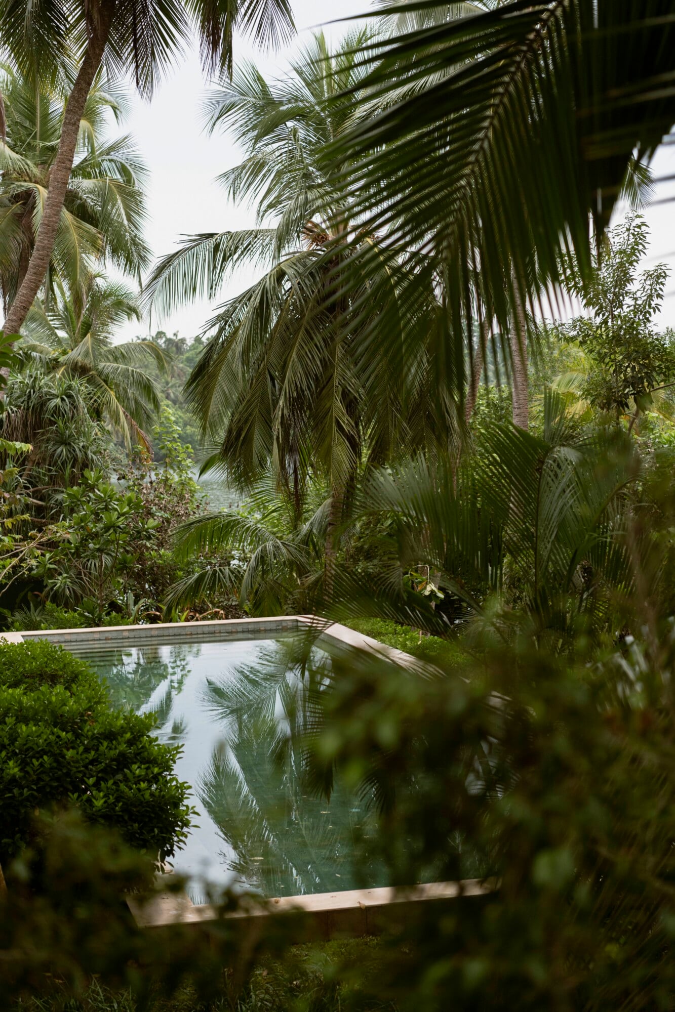 Kurulu Bay, Asia — Infinity pool reflecting palm fronds and tropical landscape overlooking water, minimalist architecture nestled in lush jungle vegetation.