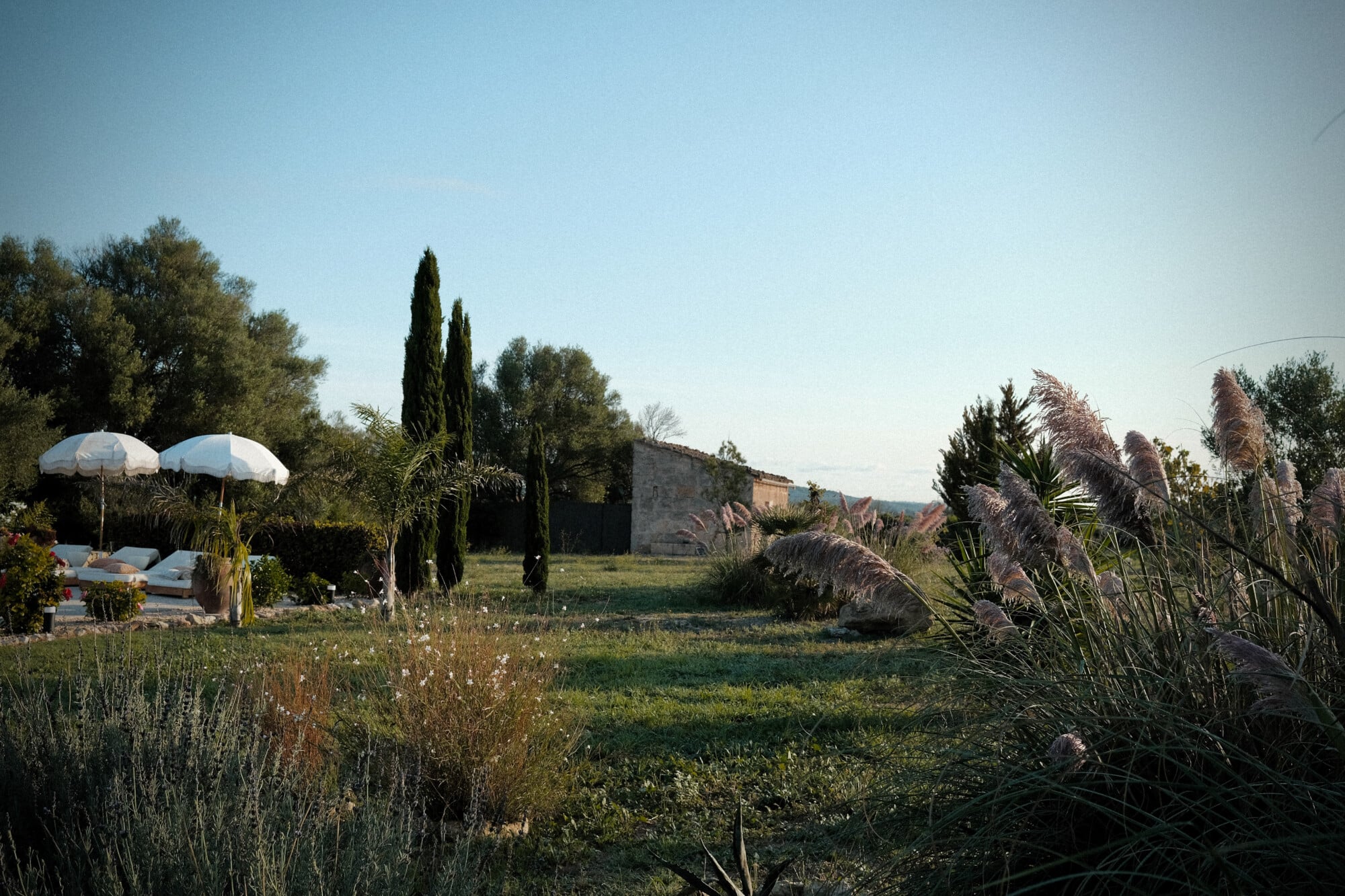 Vista Verde, Balearic Islands — Manicured garden with pampas grass, cypress trees, loungers beneath white umbrellas, and stone villa in afternoon light.