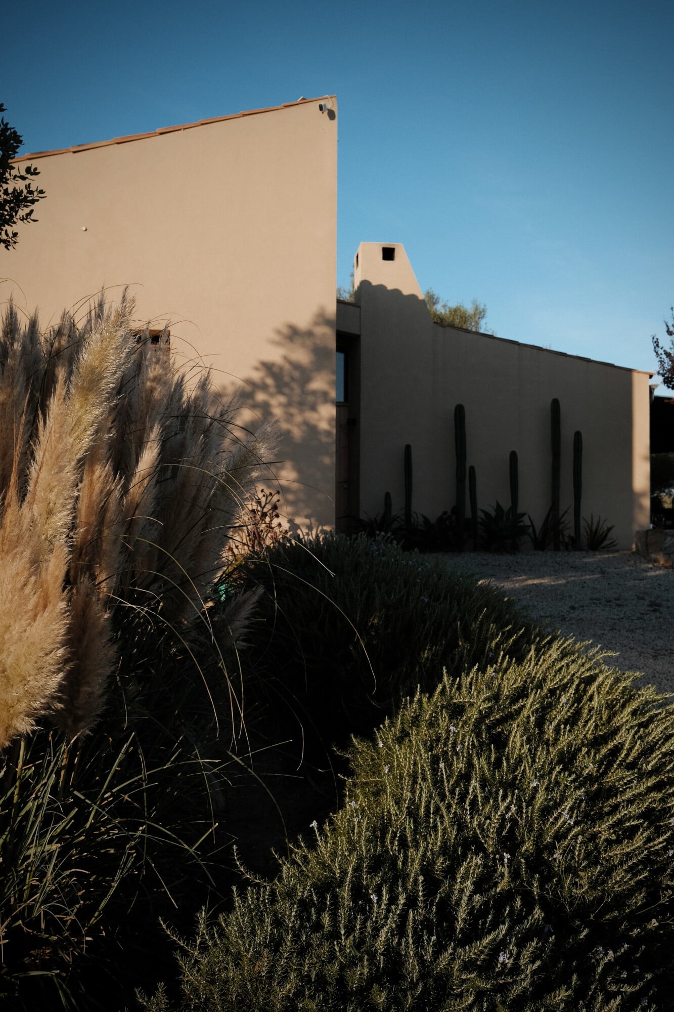 Vista Verde, Balearic Islands, Spain — Minimalist villa with cream and charcoal facades, saguaro cacti, ornamental grasses, and geometric shadows in desert-modern landscape design.