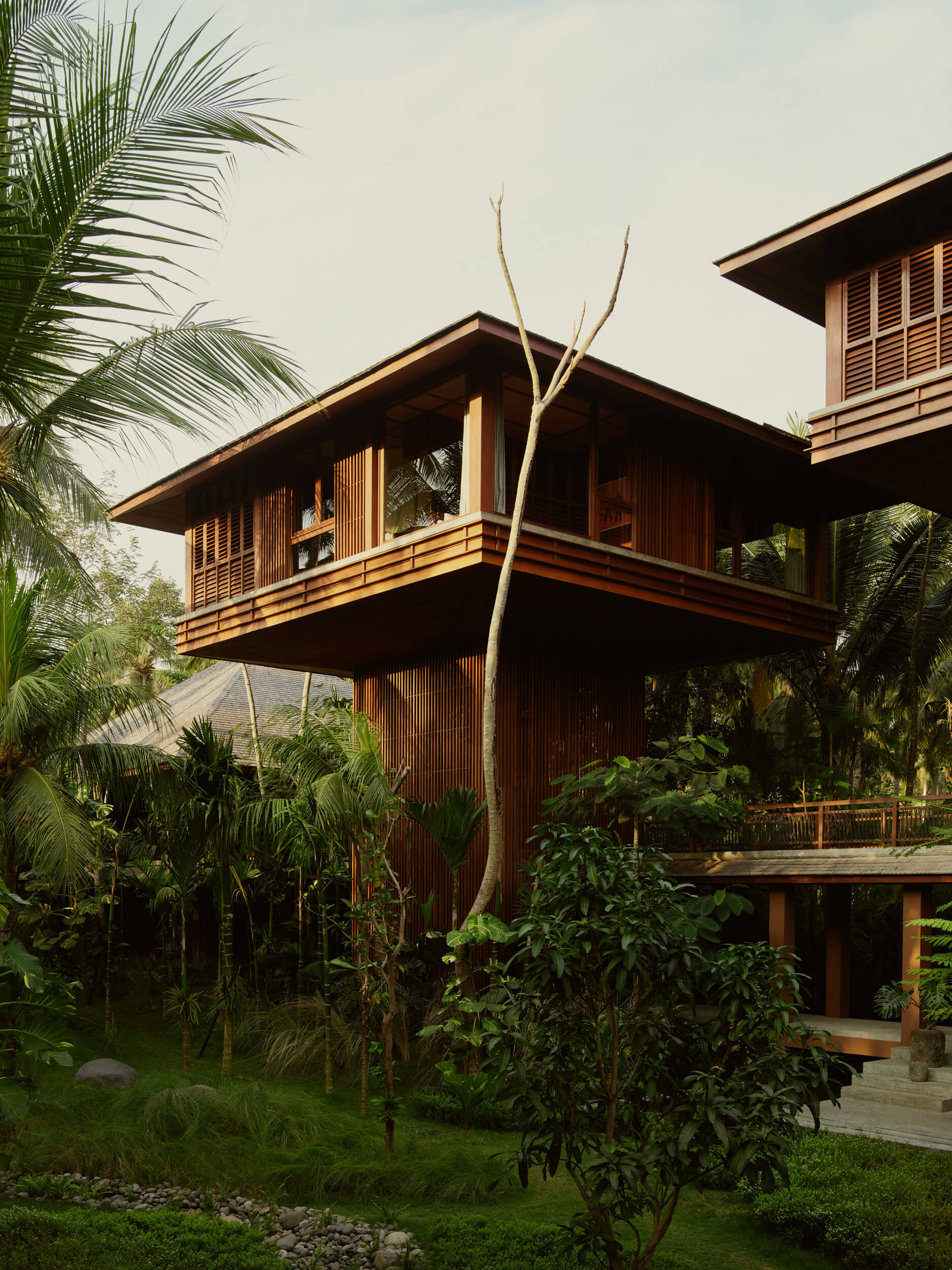 Lost Lindenberg, Asia — Teak-clad modernist villa with horizontal slats and cantilever terraces nestled in lush tropical garden, warm afternoon light filtering through palm fronds.