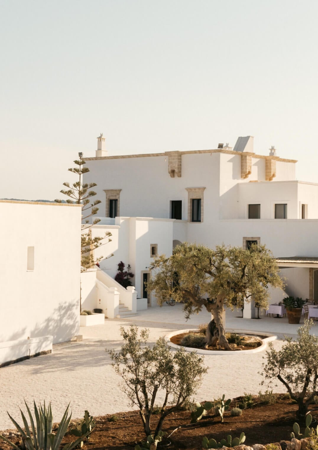 Masseria Calderisi, Europe — Whitewashed Mediterranean villa with sculptural architecture, olive trees, and minimal courtyard overlooking coastal landscape at golden hour.