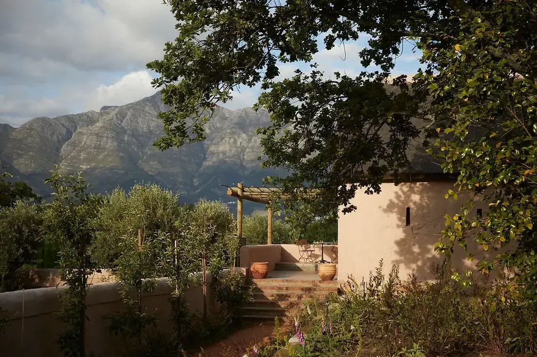 Sterrekopje, Africa — Cream-washed building with wooden pergola, olive trees, and mountain vista under dappled shade in luxury hospitality garden setting.