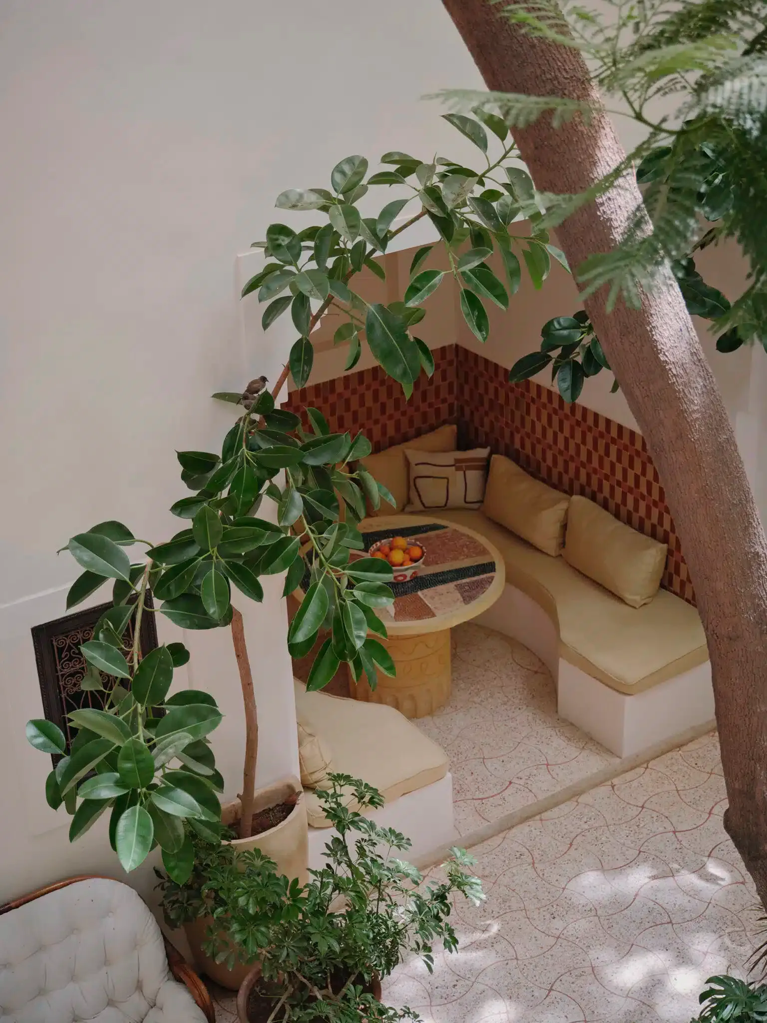 Rosemary, Africa — Sunlit courtyard nook with cream seating, red patterned headboard, wooden side table, potted plants, and sculptural tree trunk creating intimate hospitality lounge.