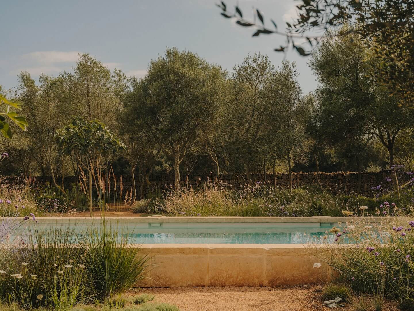 Can Lluïssó, Balearic Islands, Spain — Natural swimming pool with terracotta edge, olive trees, purple flowers, and stone wall in Mediterranean garden landscape.