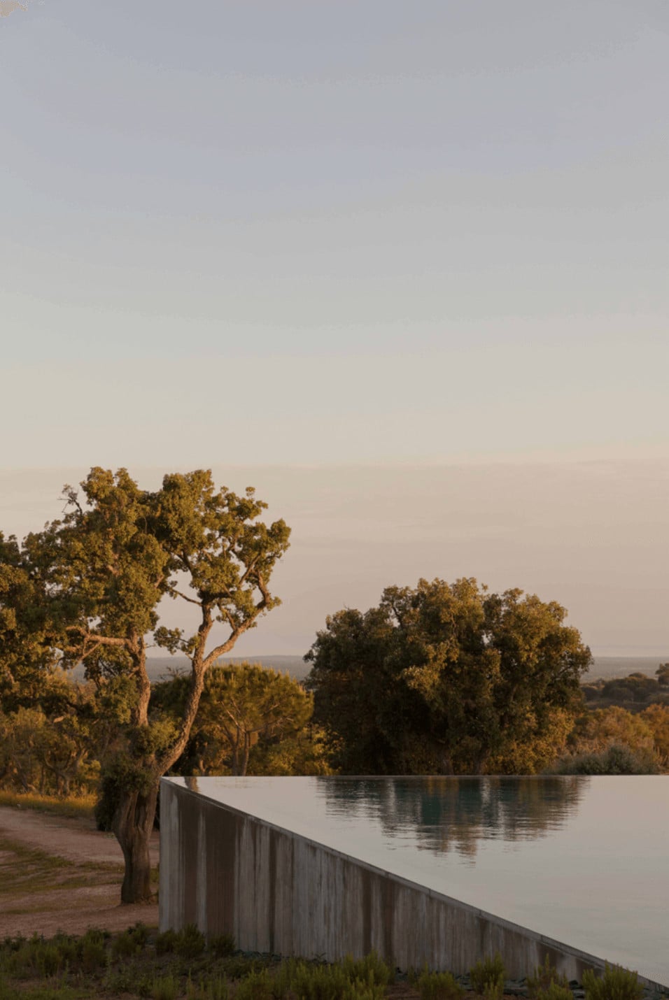 Pa.te.os, Europe — Wooden railing along calm river at dusk, golden-hour light filtering through mature trees, misty distant landscape, serene waterfront aesthetic.