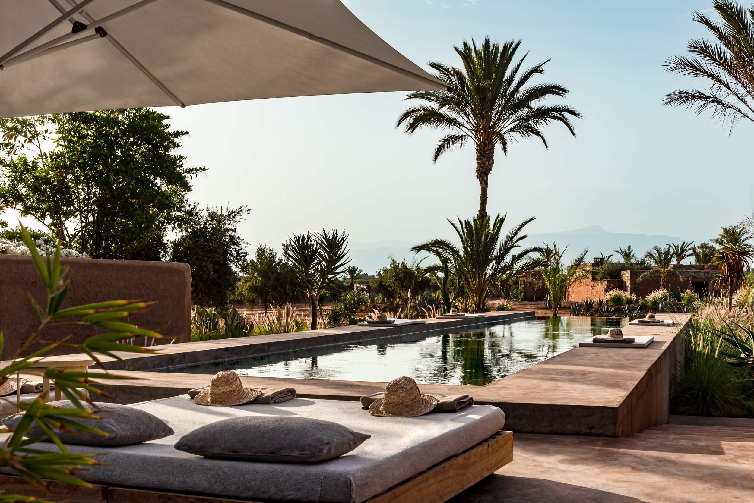 Villa D, Africa — Infinity pool with linear water channel, palm trees, clay architecture, wooden deck, gray lounge cushions, canvas shade, desert landscape.