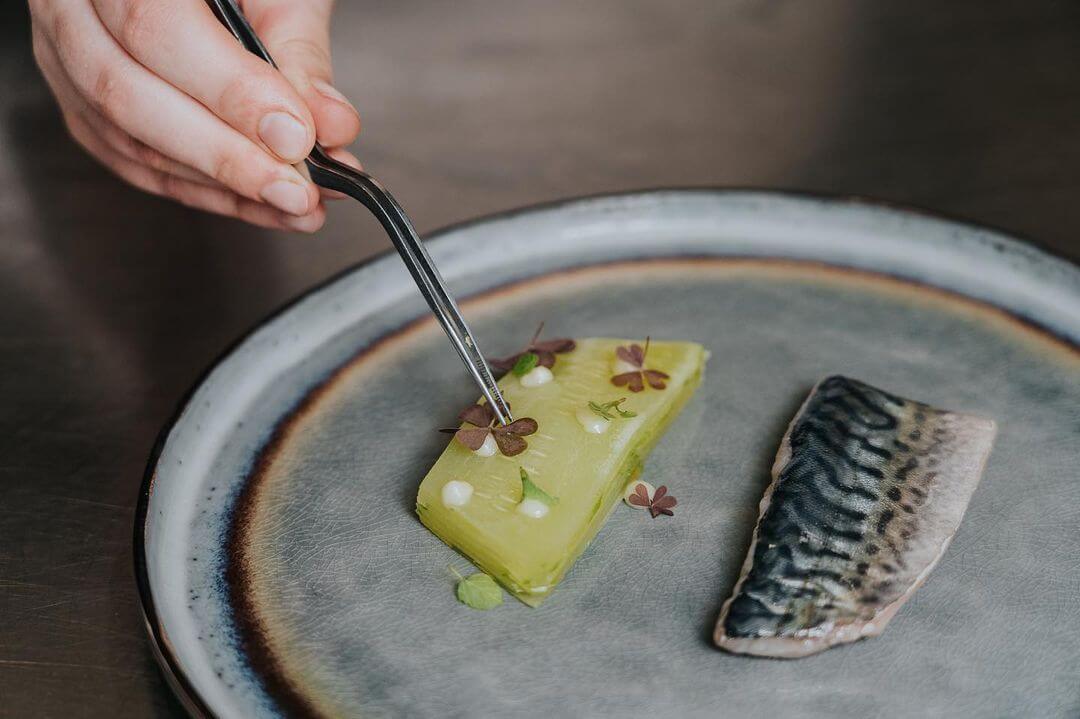 Primo, Europe — Plated fine dining dish with yellow terrine, seared fish, and microgreens on grey ceramic plate, chef's hand with tweezers.
