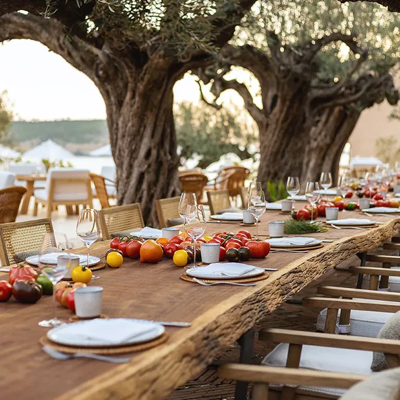 HaSalon Ibiza, Balearic Islands — Long wooden table beneath ancient olive trees with place settings, fresh tomatoes, and glassware overlooking Mediterranean coastline at sunset.