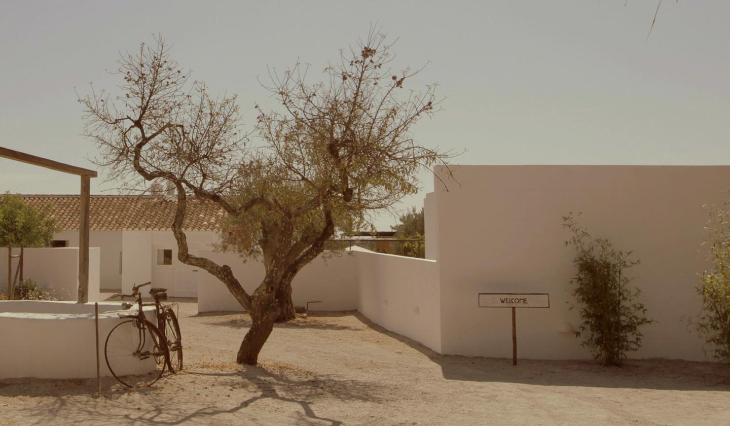 Pensão Agrícola, Europe — Minimalist whitewashed courtyard with gnarled olive tree, vintage bicycle, and welcome sign casting long shadows in golden light.