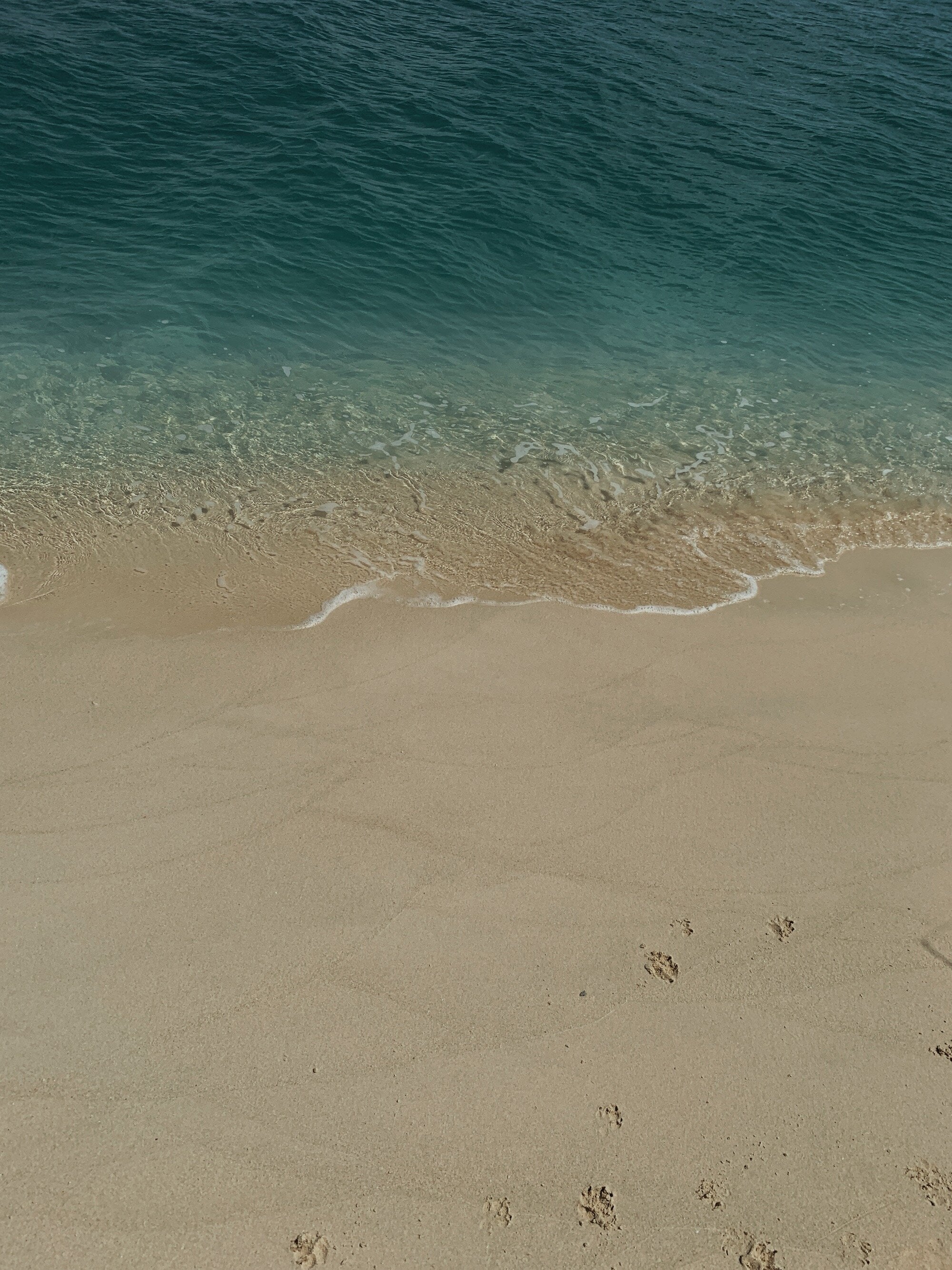 Sussurro, Africa — Pristine sandy beach with gentle waves and turquoise water, footprints in sand, serene coastal landscape