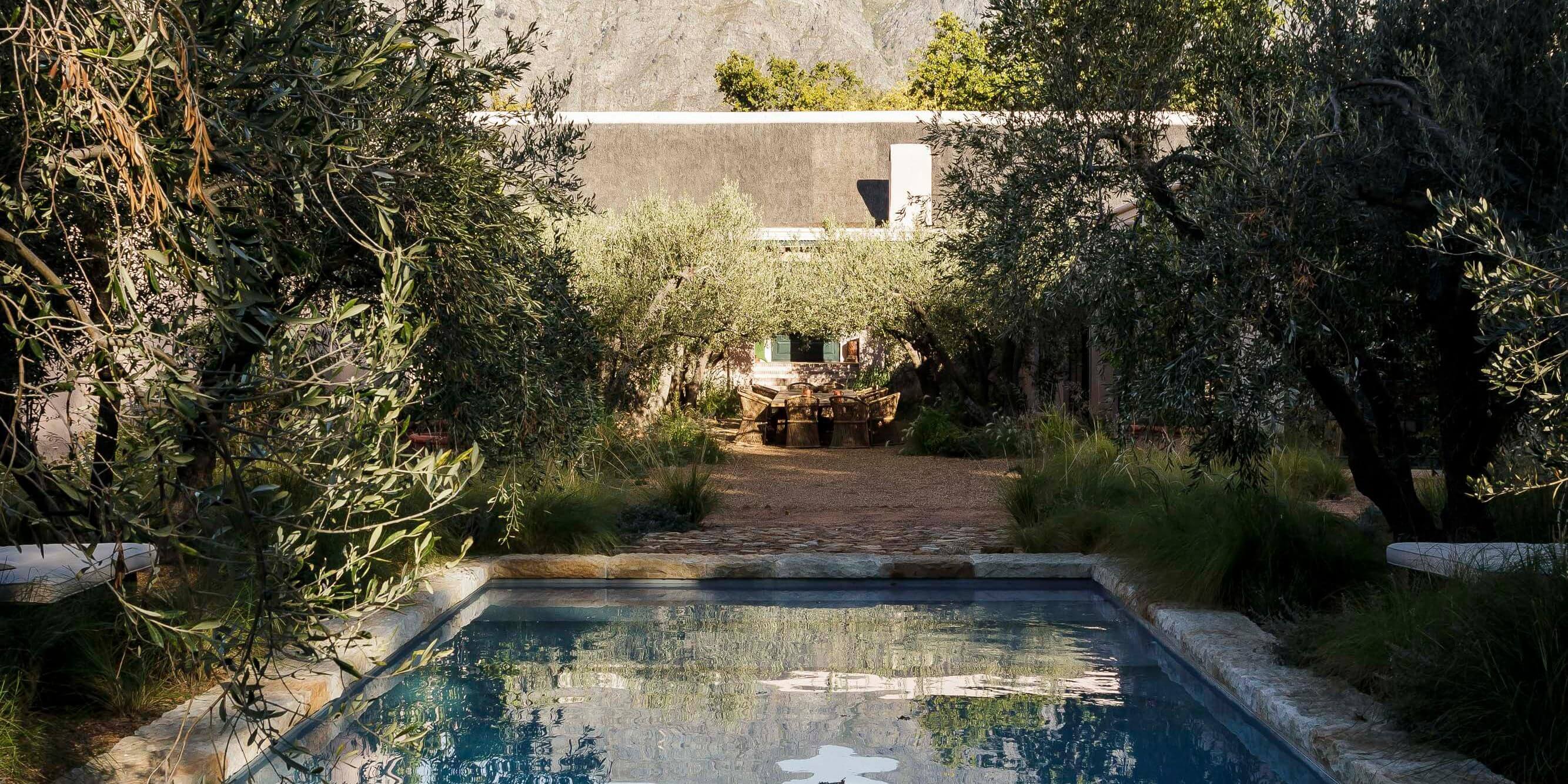 Sterrekopje, Africa — Reflecting pool flanked by olive trees and desert vegetation, modernist white architecture beyond, dappled sunlight on water.