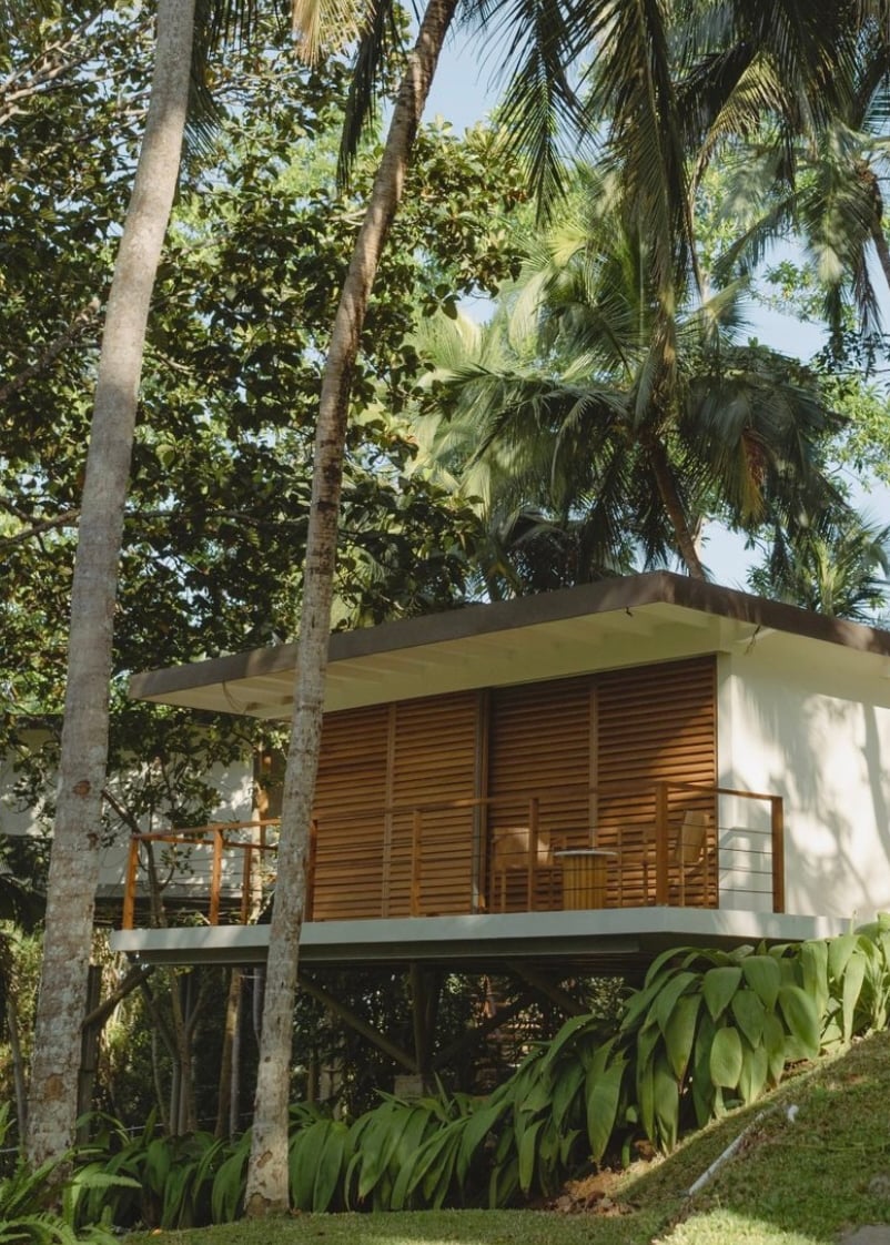 Kurulu Bay, Asia — Modernist timber pavilion elevated on stilts among tropical palms, with horizontal wooden louvers and cantilevered roof, dappled forest light.