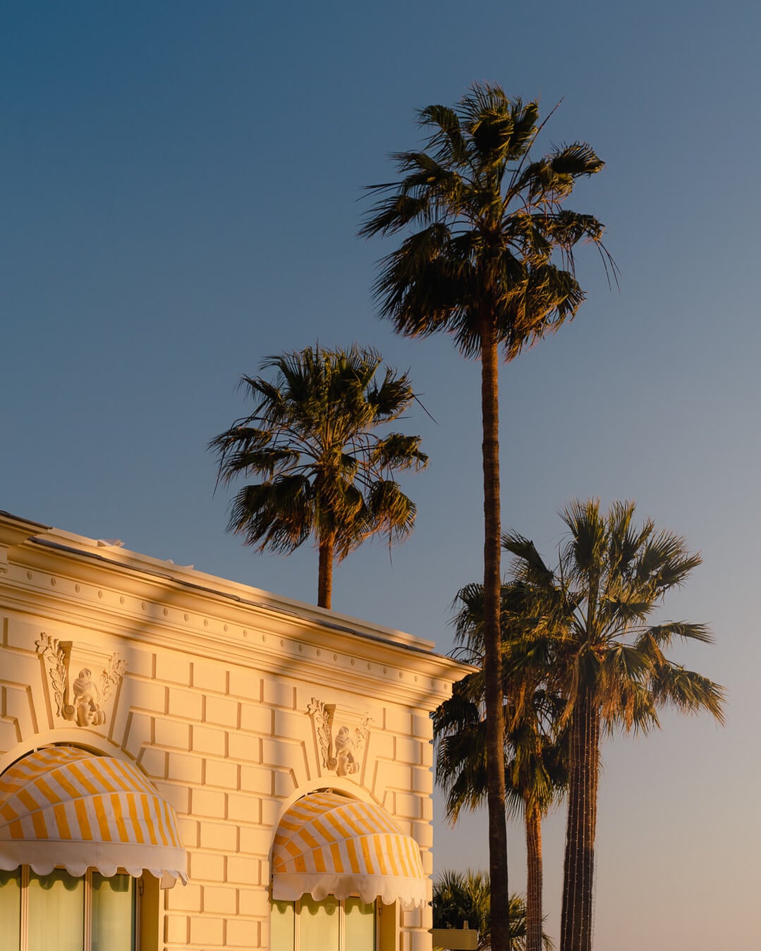 Carlton Cannes, Cannes, France — Cream-colored neoclassical facade with striped awnings and ornamental capitals, framed by tall palm trees at golden hour.