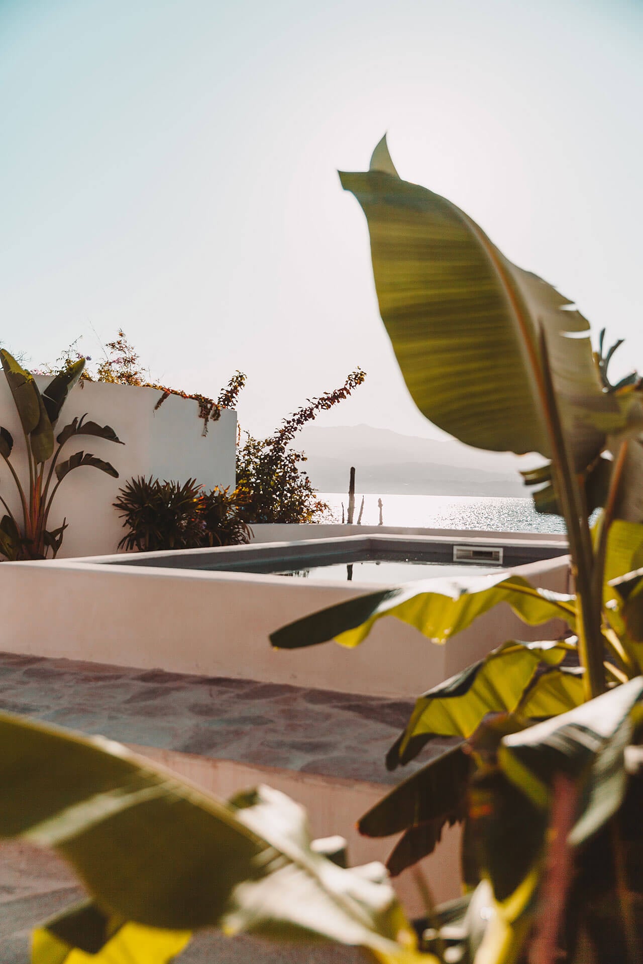 Casa Santa Teresa, Europe — Terraced poolside with yellow-leafed plants, whitewashed walls, and sea views at golden hour.